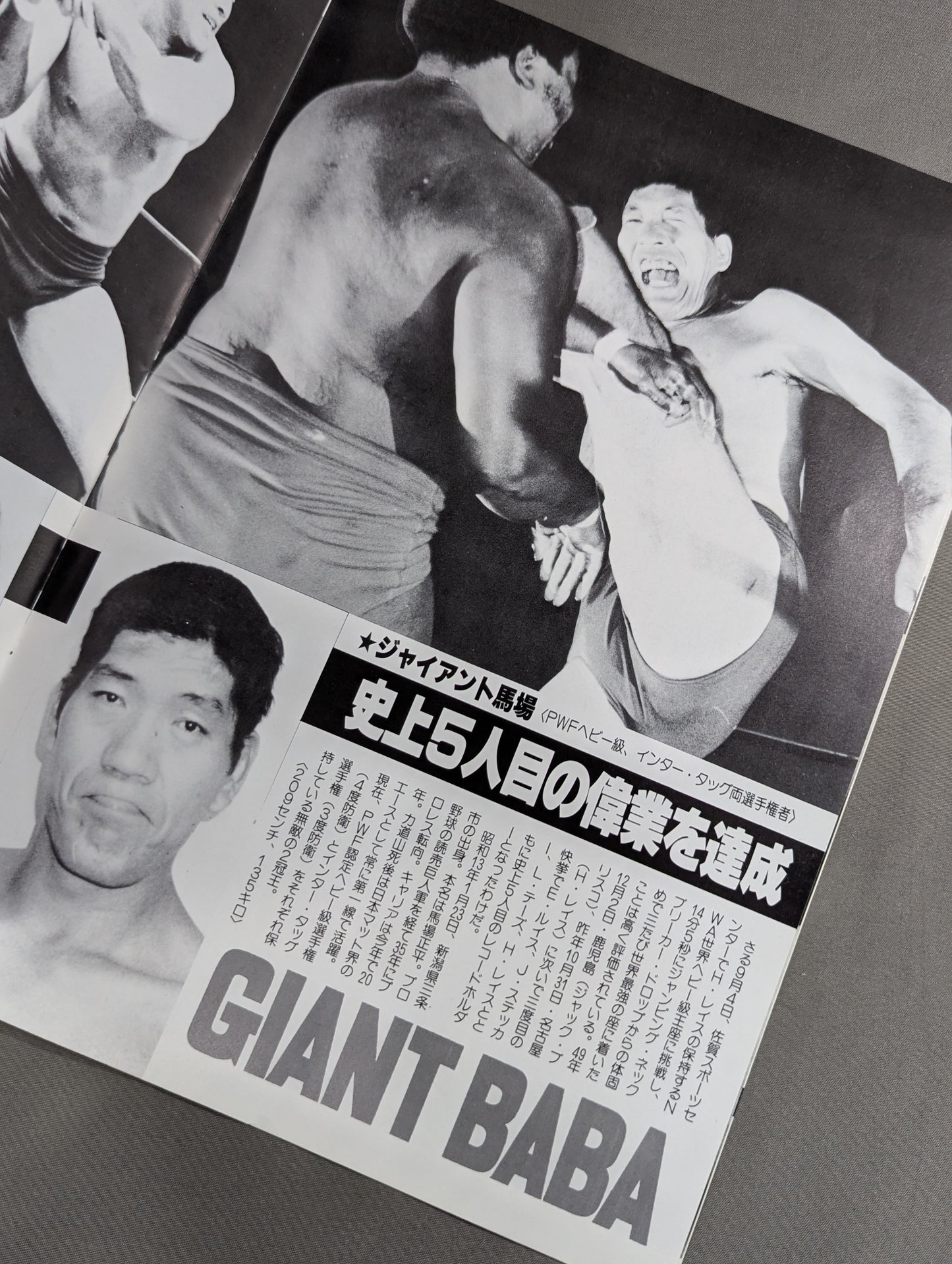 ★馬場＆鶴田vsブッチャー＆カマタ インターダッグ戦★ 80ジャイアント・シリーズ