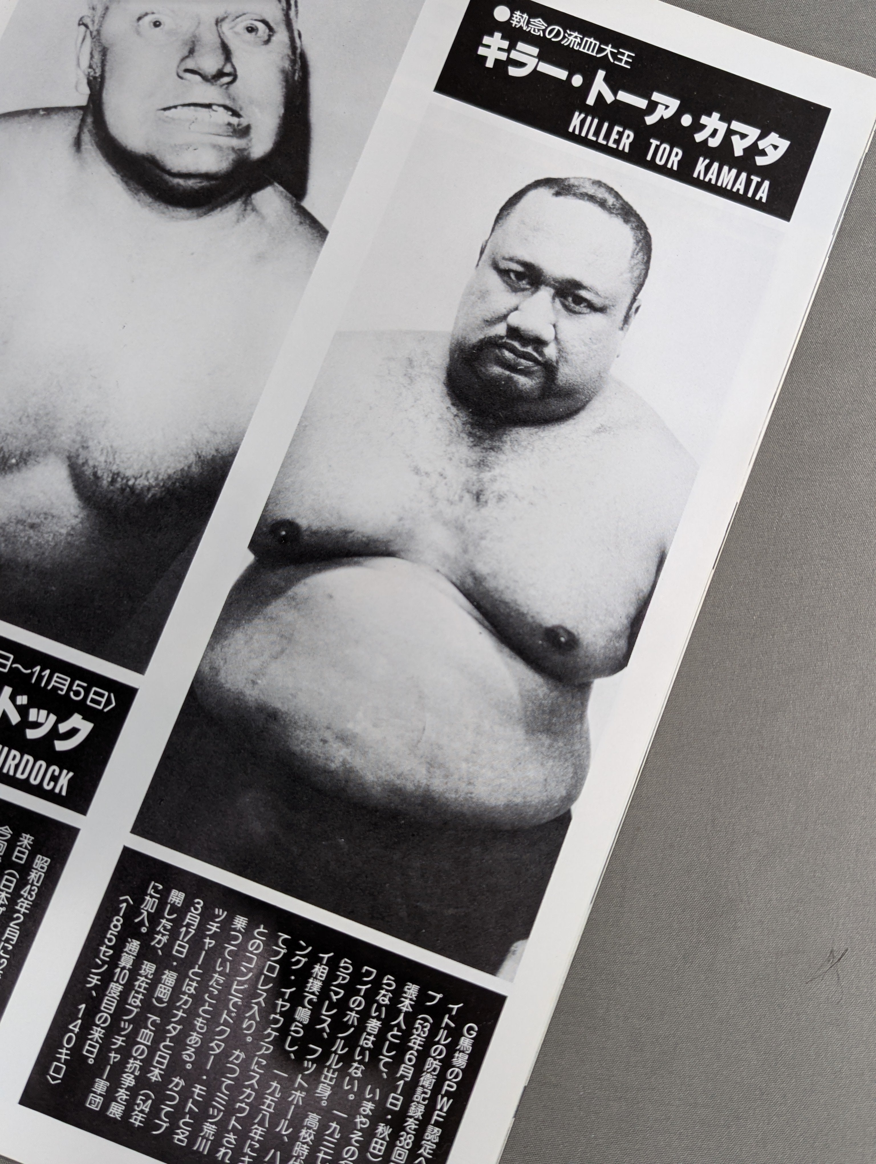 ☆馬場＆鶴田vsブッチャー＆カマタ インターダッグ戦☆ 80ジャイアント