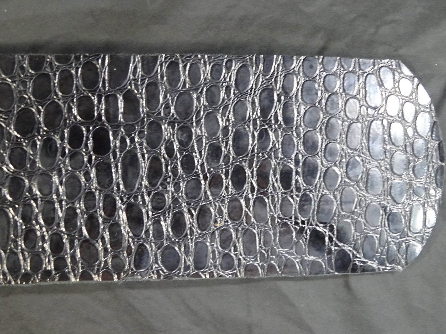 NWA World Heavyweight Title Champion Belt