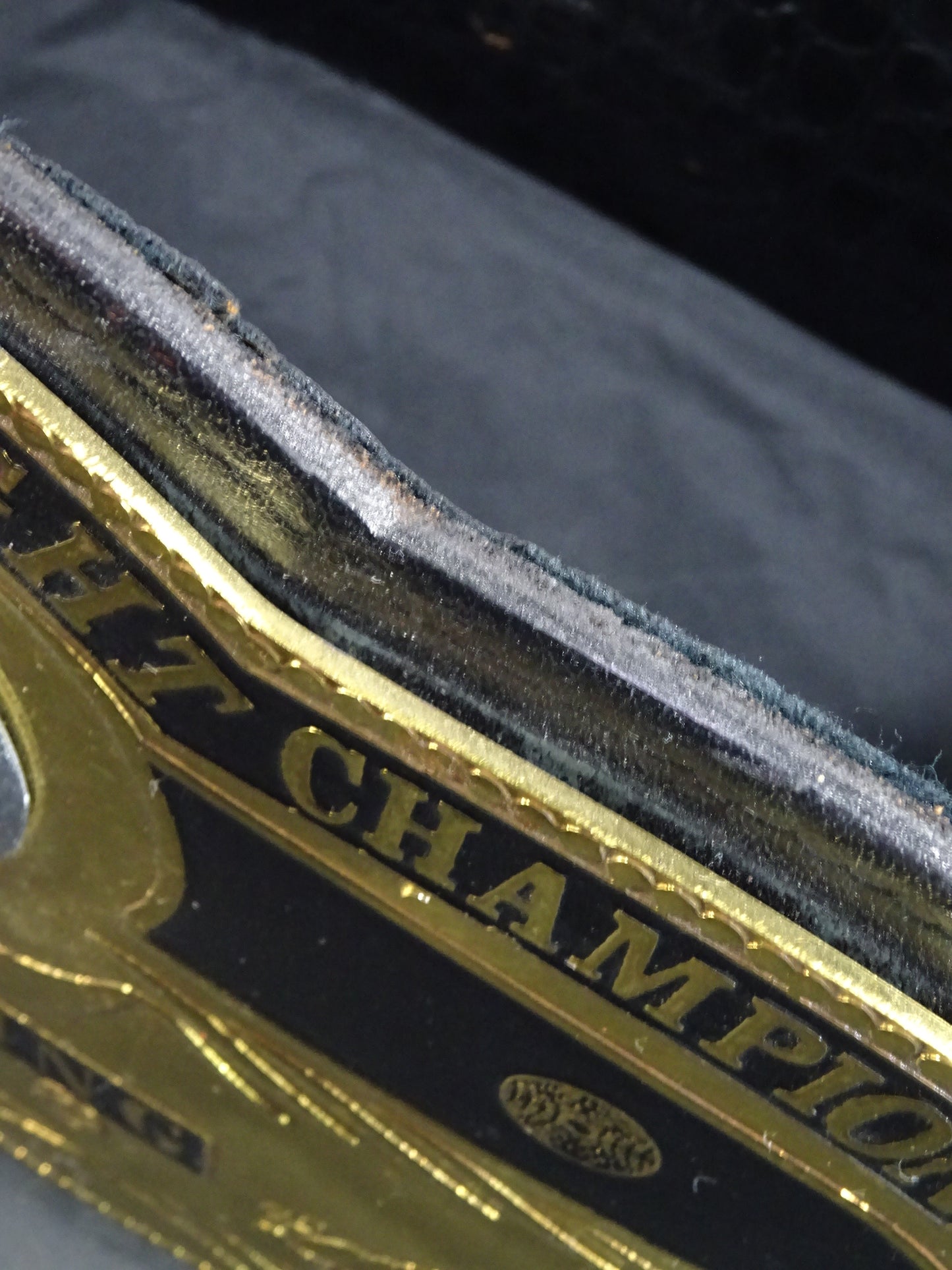 NWA World Heavyweight Title Champion Belt