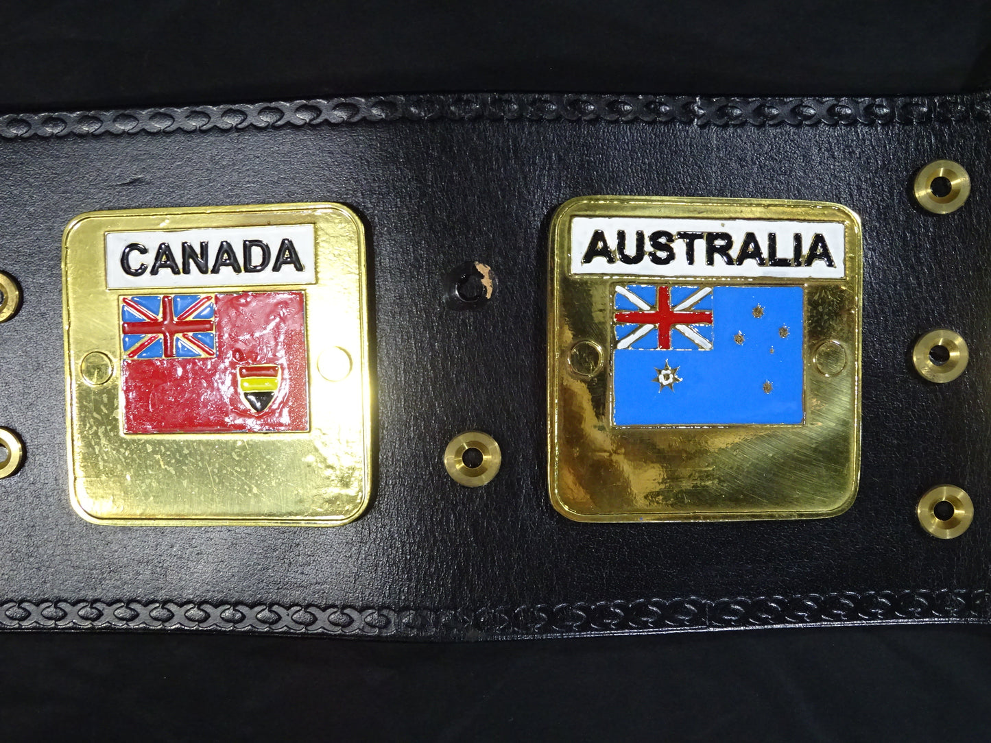 NWA World Heavyweight Title Champion Belt