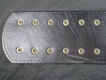 NWA World Heavyweight Title Champion Belt