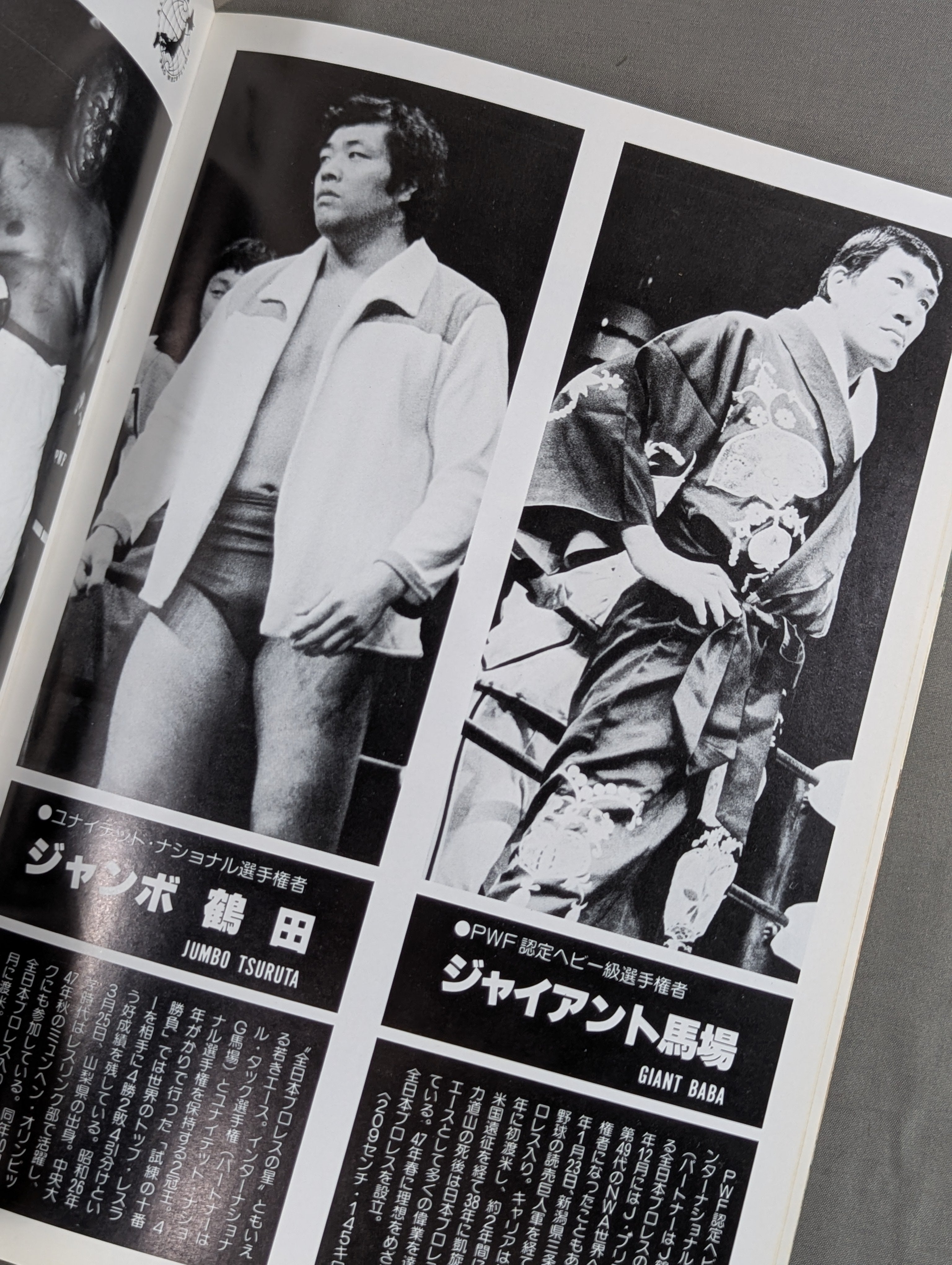 ☆プロレス夢のオールスター戦☆ 東京スポーツ新聞社創立20周年記念