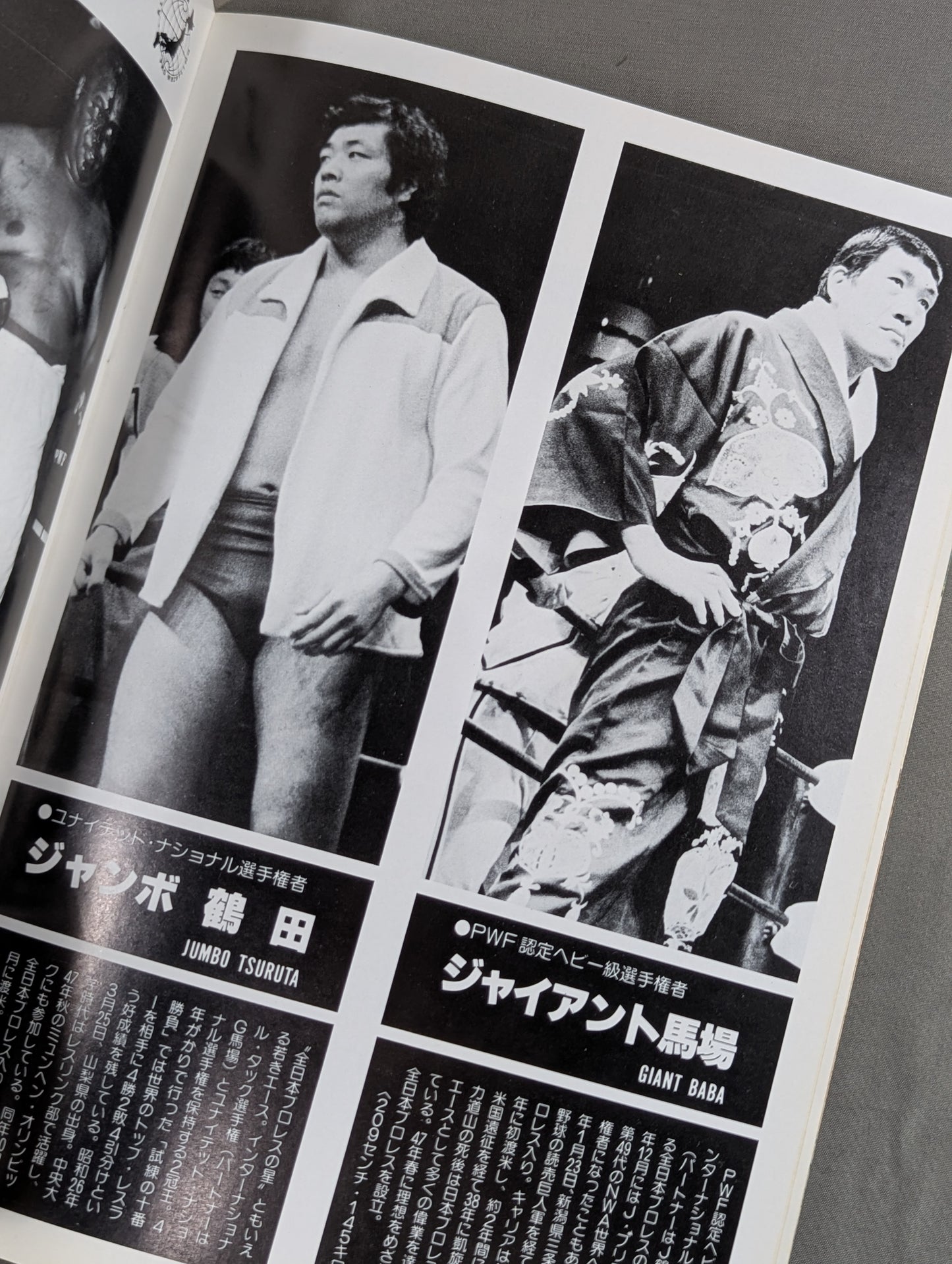 ★プロレス夢のオールスター戦★ 東京スポーツ新聞社創立20周年記念