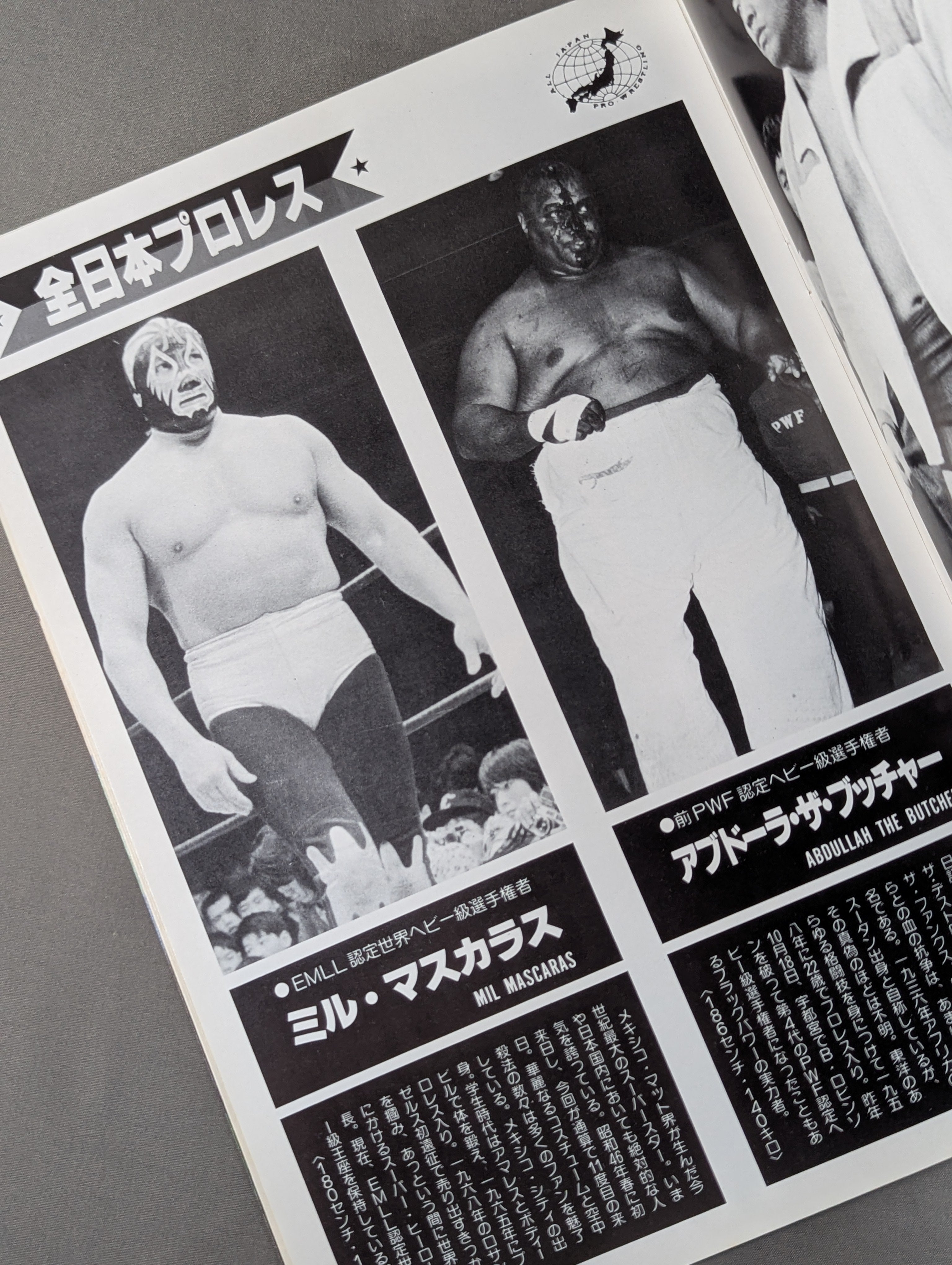 ☆プロレス夢のオールスター戦☆ 東京スポーツ新聞社創立20周年記念