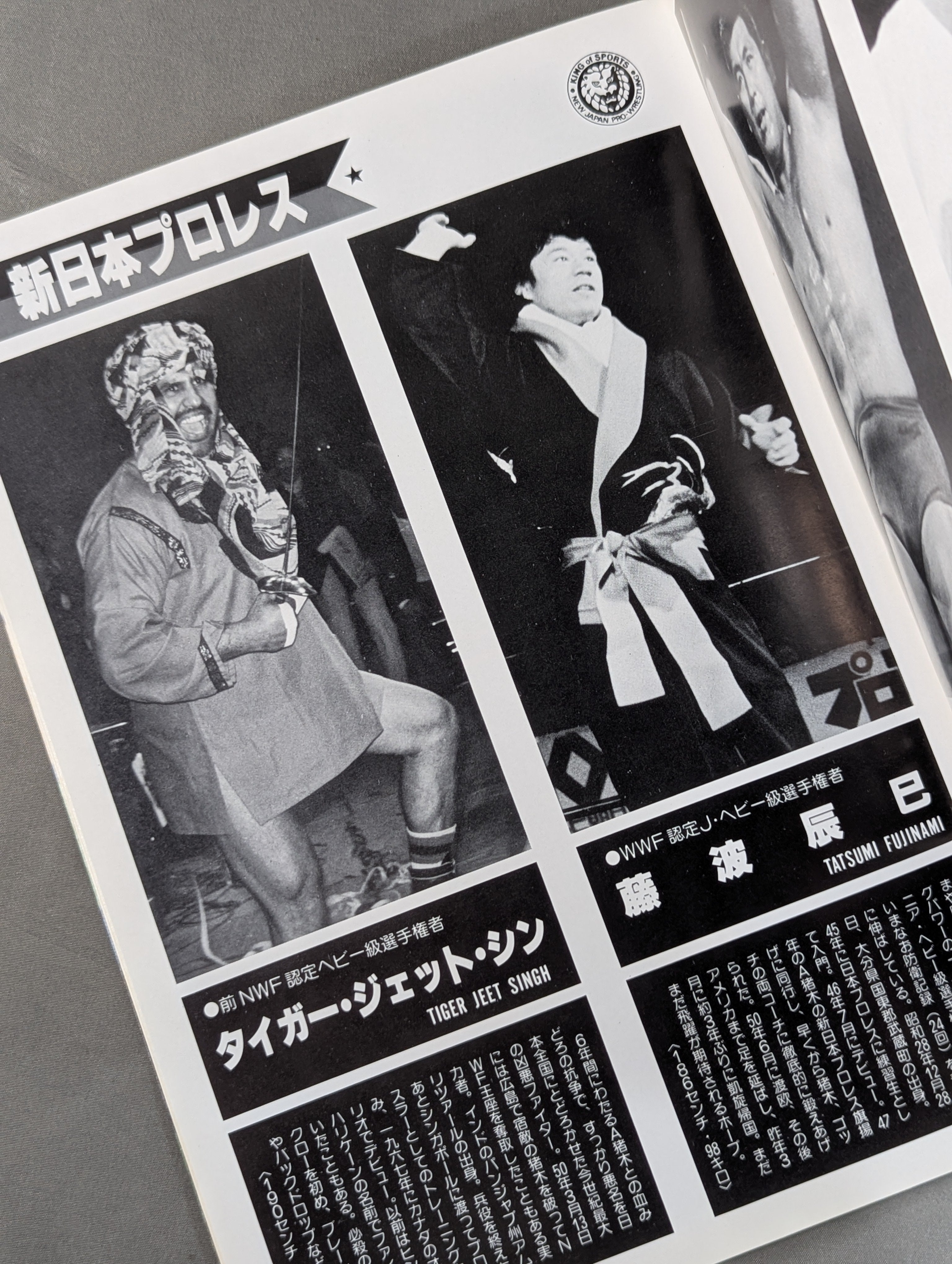 ☆プロレス夢のオールスター戦☆ 東京スポーツ新聞社創立20周年記念