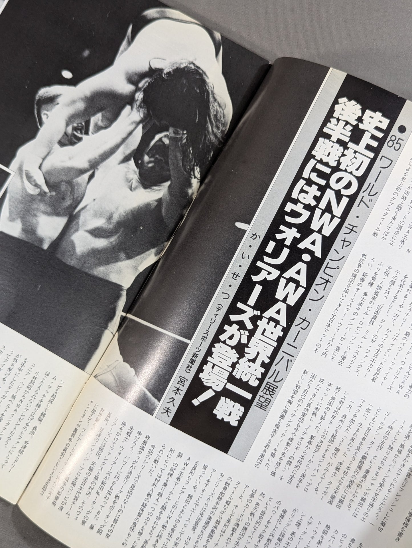 85ワールド・チャンピオン・カーニバル