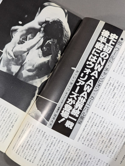 85ワールド・チャンピオン・カーニバル