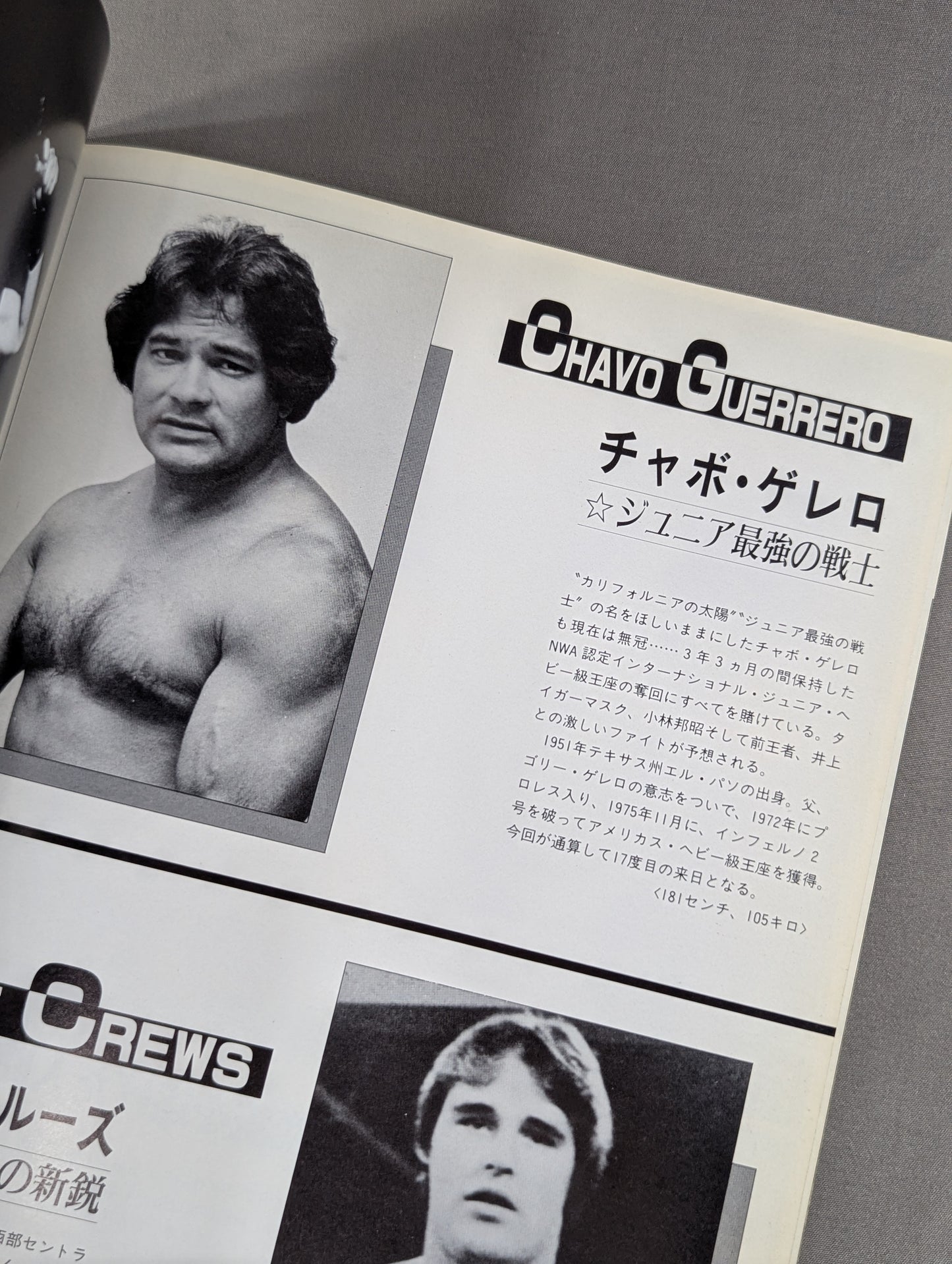 85ワールド・チャンピオン・カーニバル
