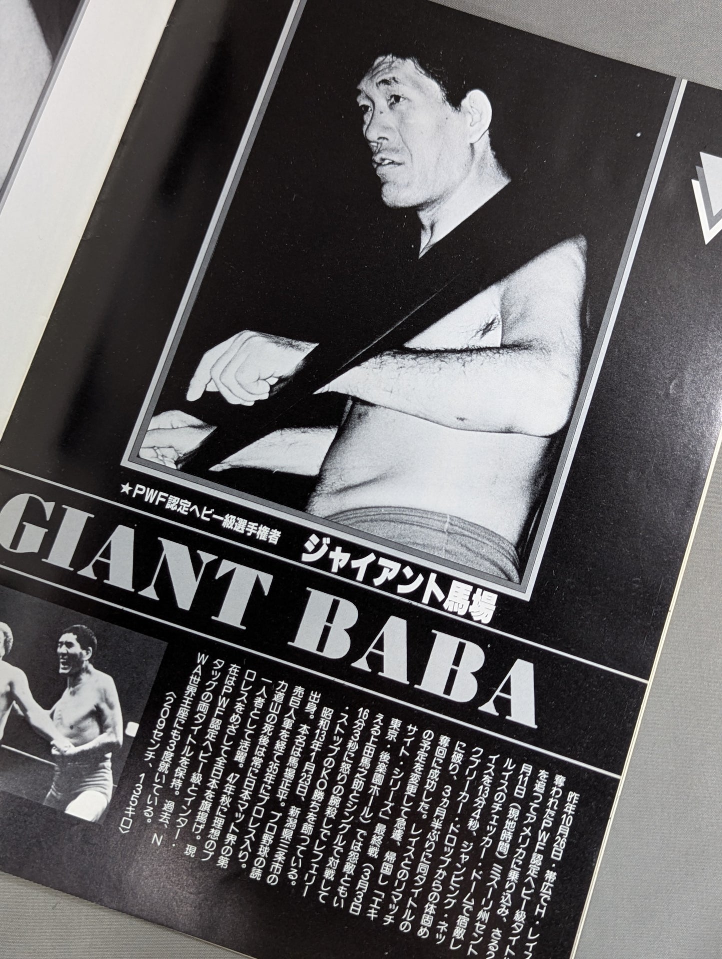 ★ Baba & Tsuruta vs Hansen & Smirnov Inter Tag Team Match ★ 83 Grand Champion Carnival I
