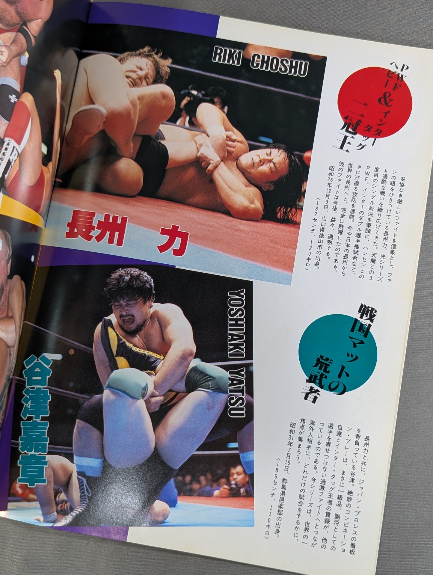 ★ Riki Choshu & Yazu vs Tsuruta & Tenryu Inter Tag Team Match ★ 15th Anniversary 86 Giant Series