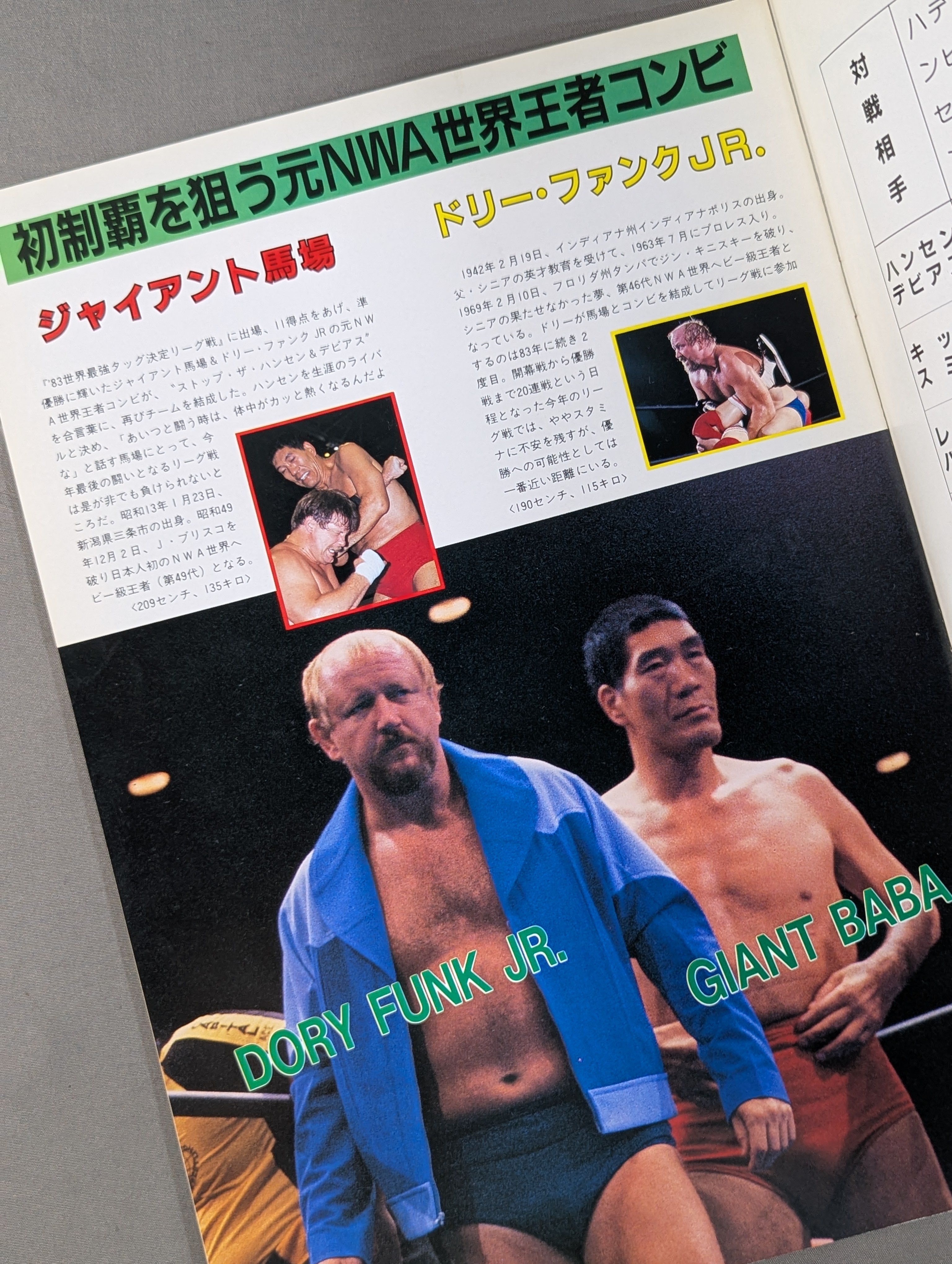 85世界最強タッグ決定リーグ戦 – 闘道館