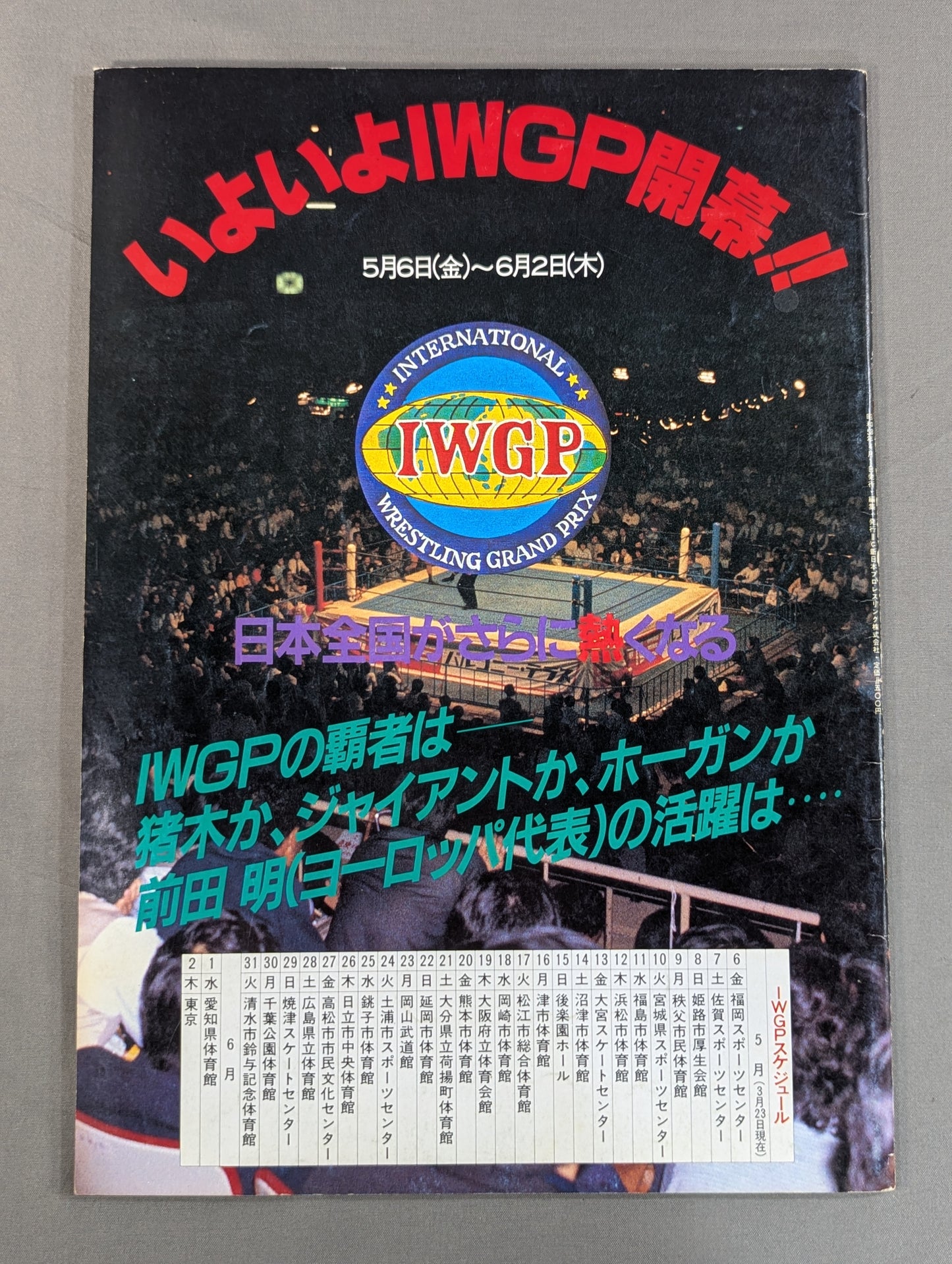 THE WRESTLER Big Fight Series Vol.2 Vol.16