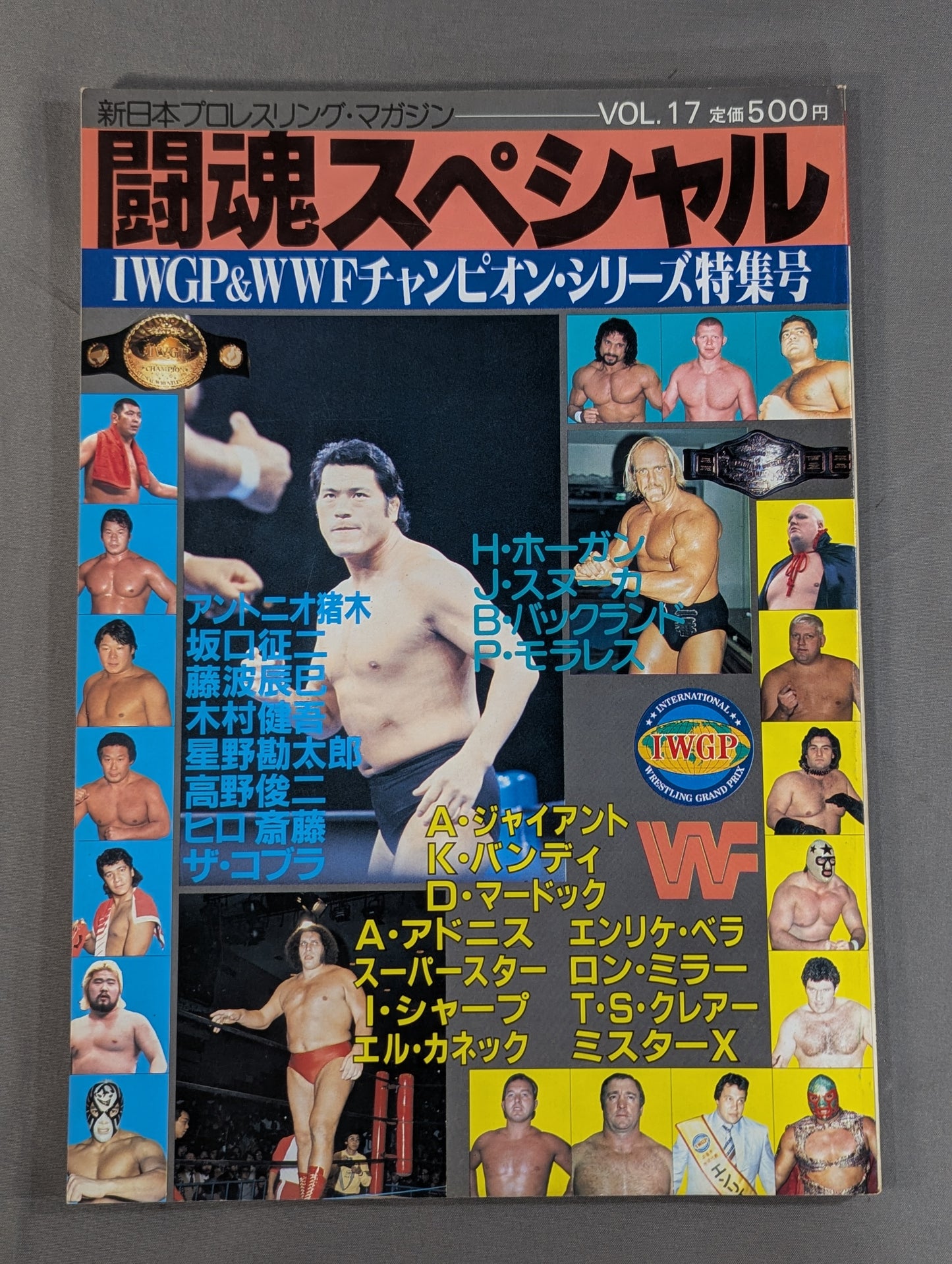 Fighting Spirit Special 17