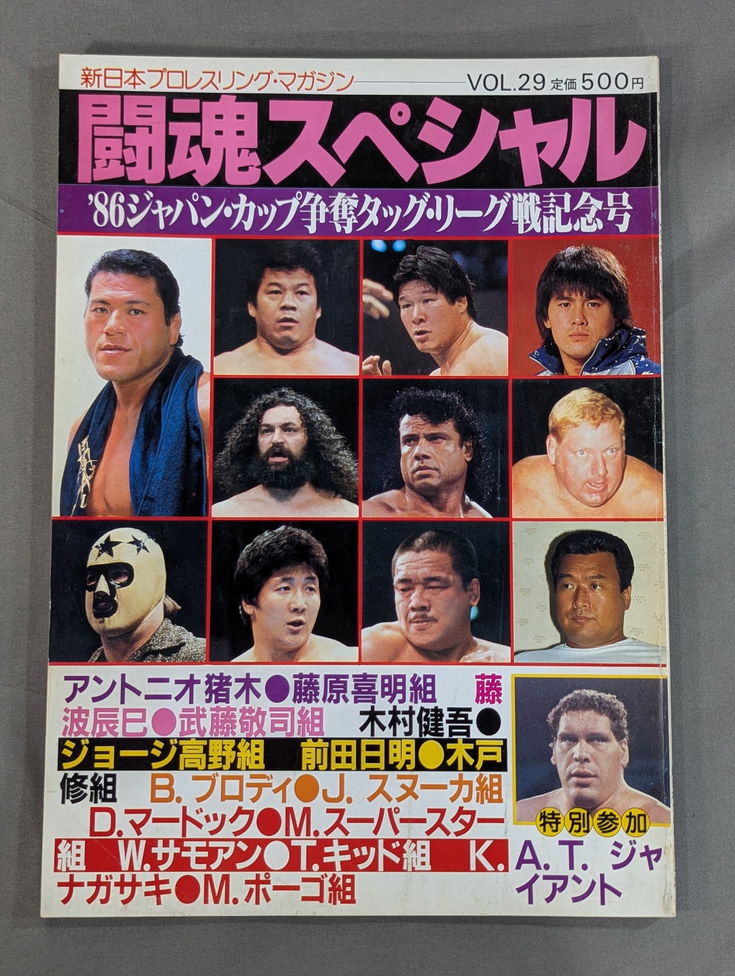闘魂スペシャル29