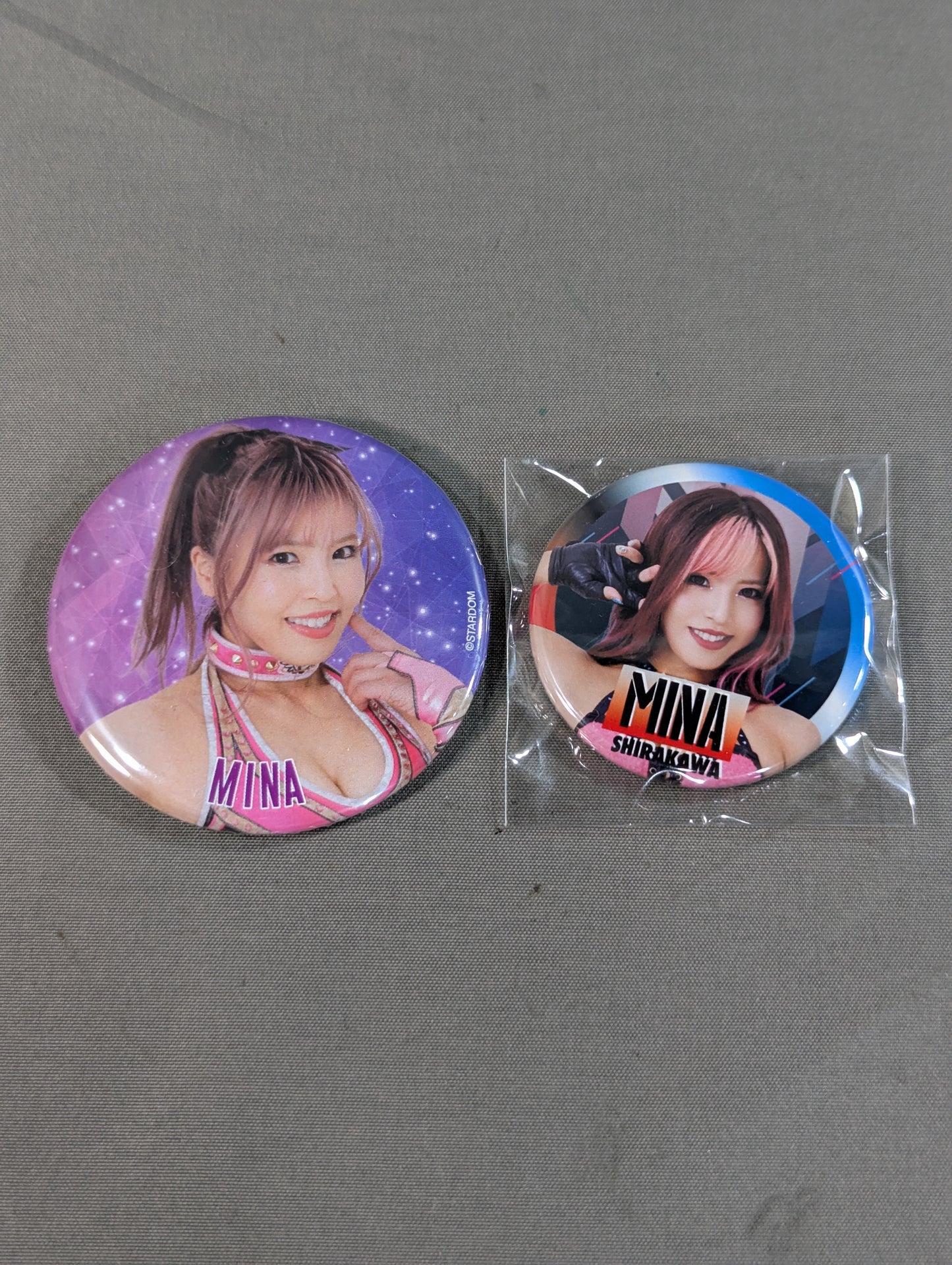 ★ Explosive Worldwide Venus ★ Mina Shirakawa  PinBack button Set(1)