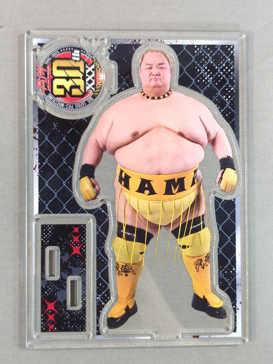Ryota Hama  Acrylic Stand Plate