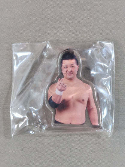 Yasufumi Nakanoue  Acrylic Blocks