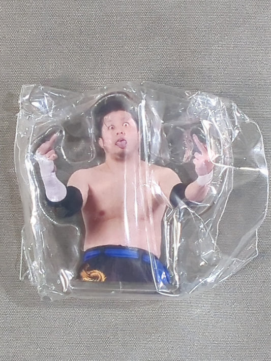 Daichi Hashimoto  Acrylic Blocks
