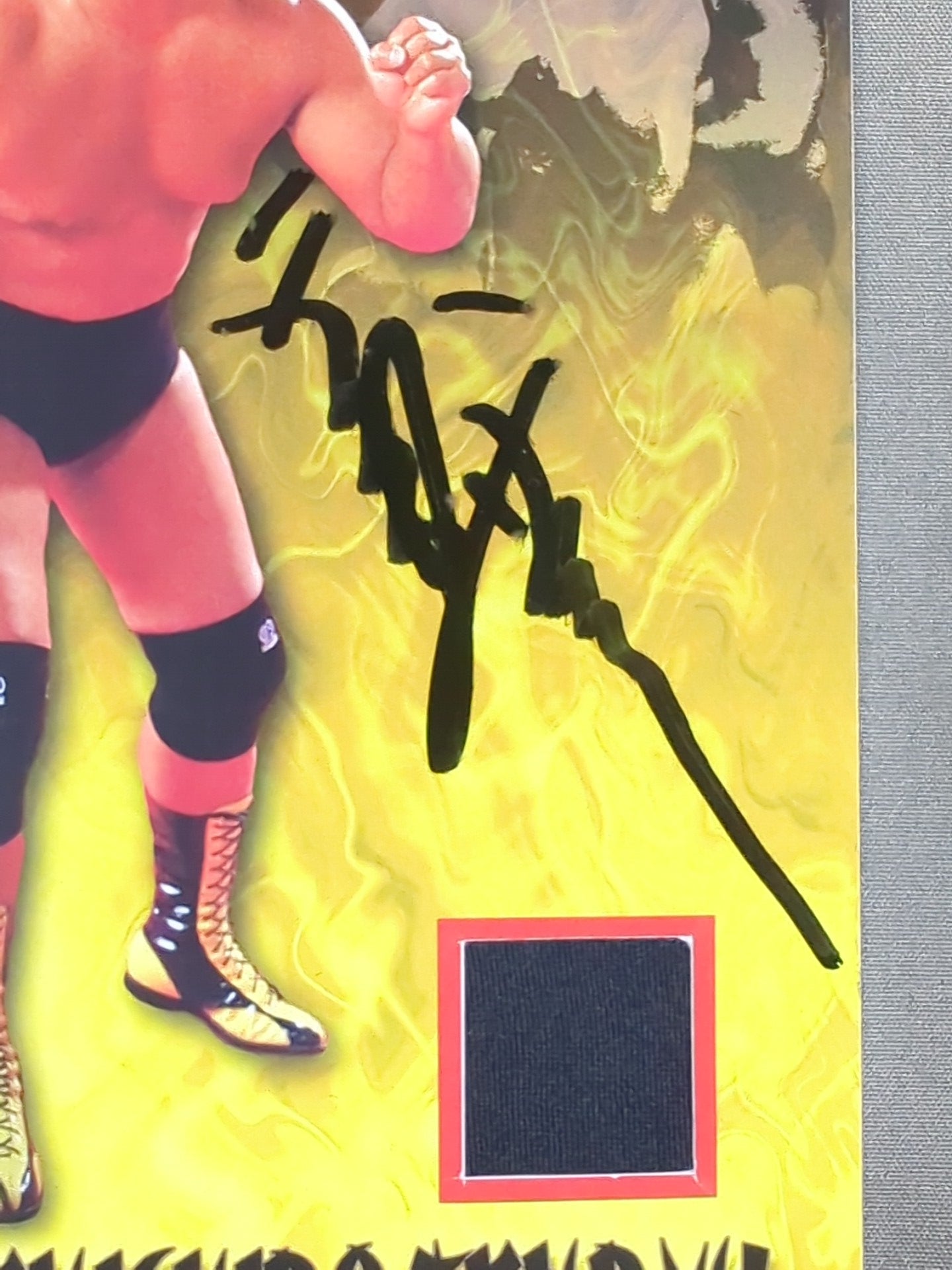 【hand signed autograph】 Tenryu Genichiro  worn by him  Costume Card