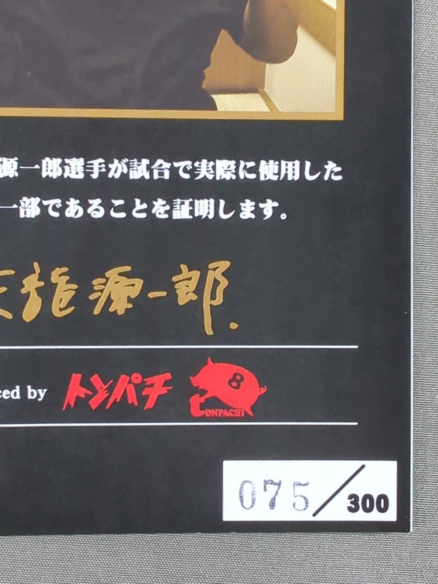 直筆サイン入り】天龍源一郎 実使用コスチュームカード – 闘道館
