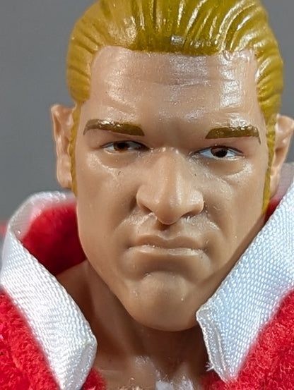 Hunter Hearst Helmsley  (Triple H)