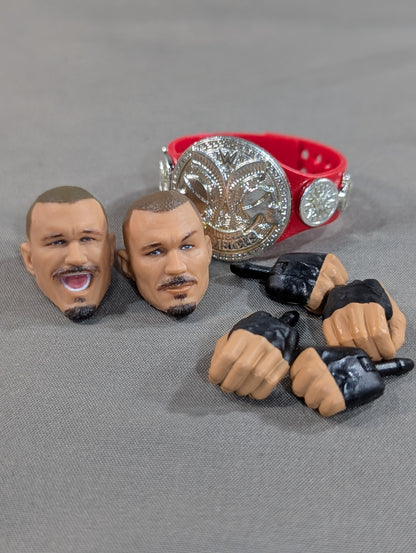 Randy Orton (Black Hood)