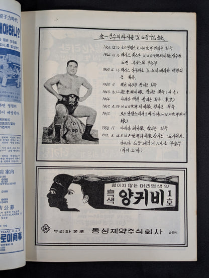 Far East Heavyweight Tag Team Fighters Battle