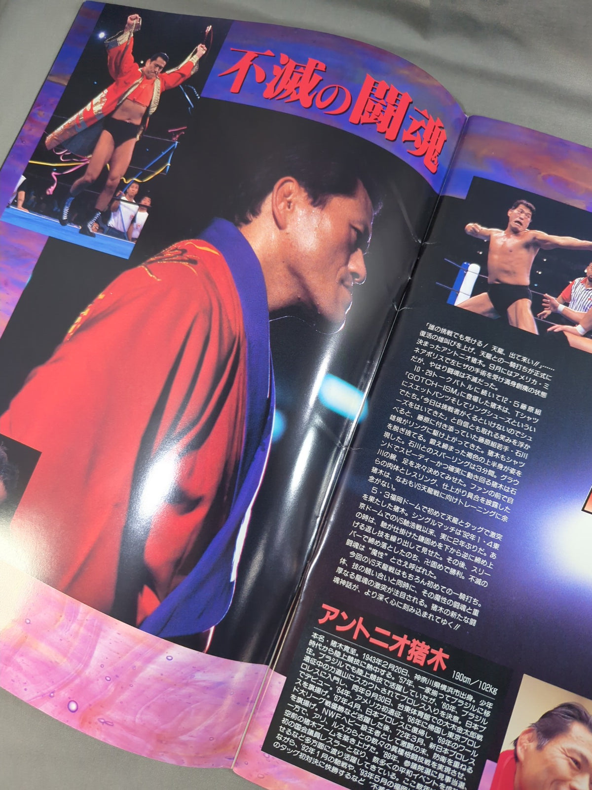 ★ Inoki vsTenryu ★ 94BATTLE FIELD in Fighting Strong Dream