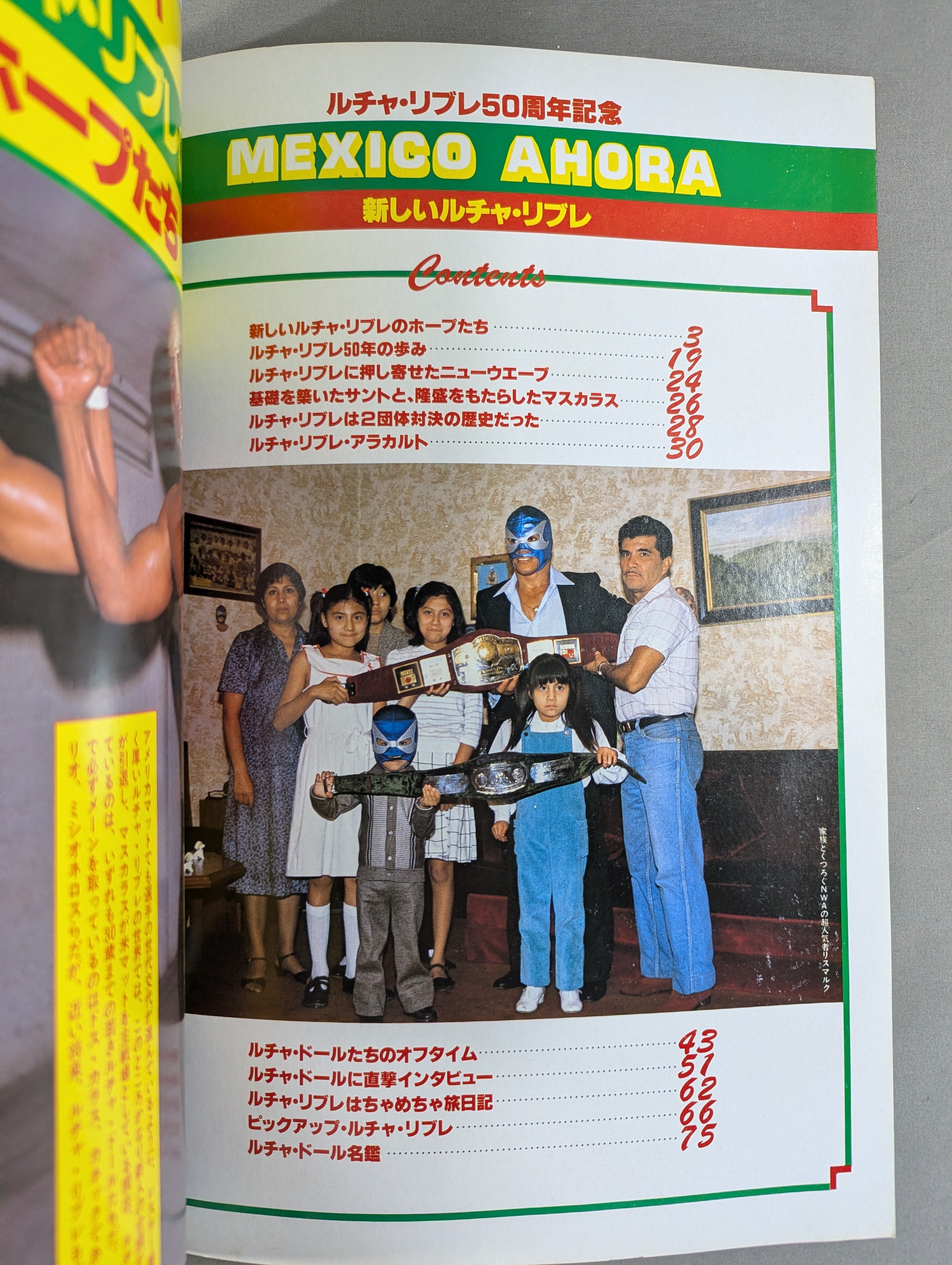 週刊プロレス6 ☆新しいルチャ・リブレ☆ – 闘道館