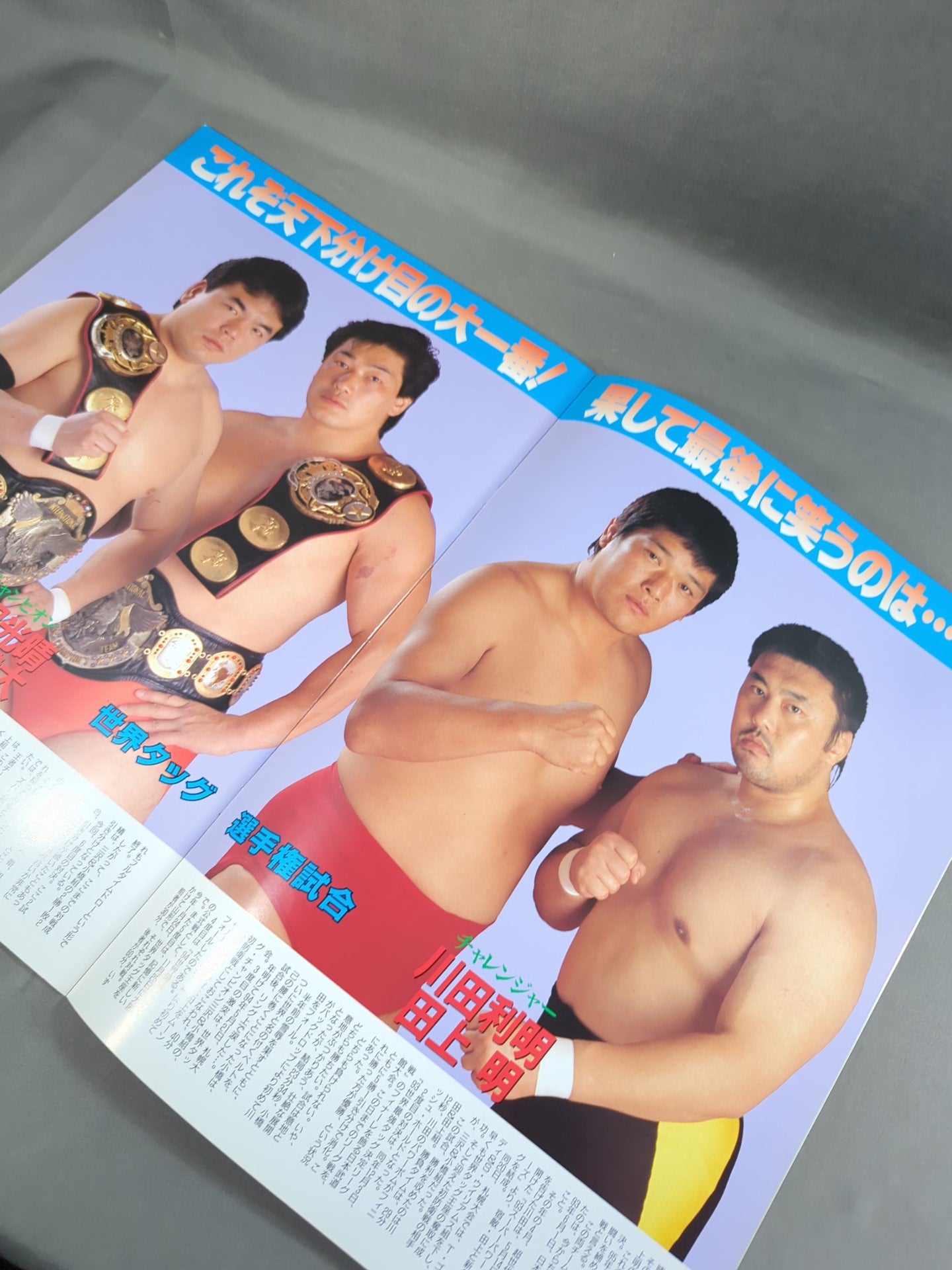 95スーパーパワー・シリーズ / 初夏・燃焼宣言IN武道館
