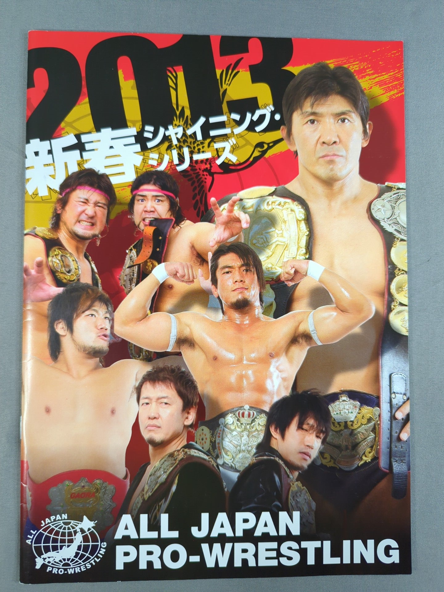 【3選手直筆サイン入り】2013新春シャイニング・シリーズ