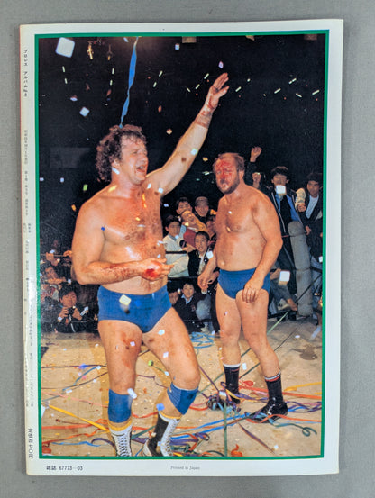 Pro Wrestling  Album 3 by Terry Funk