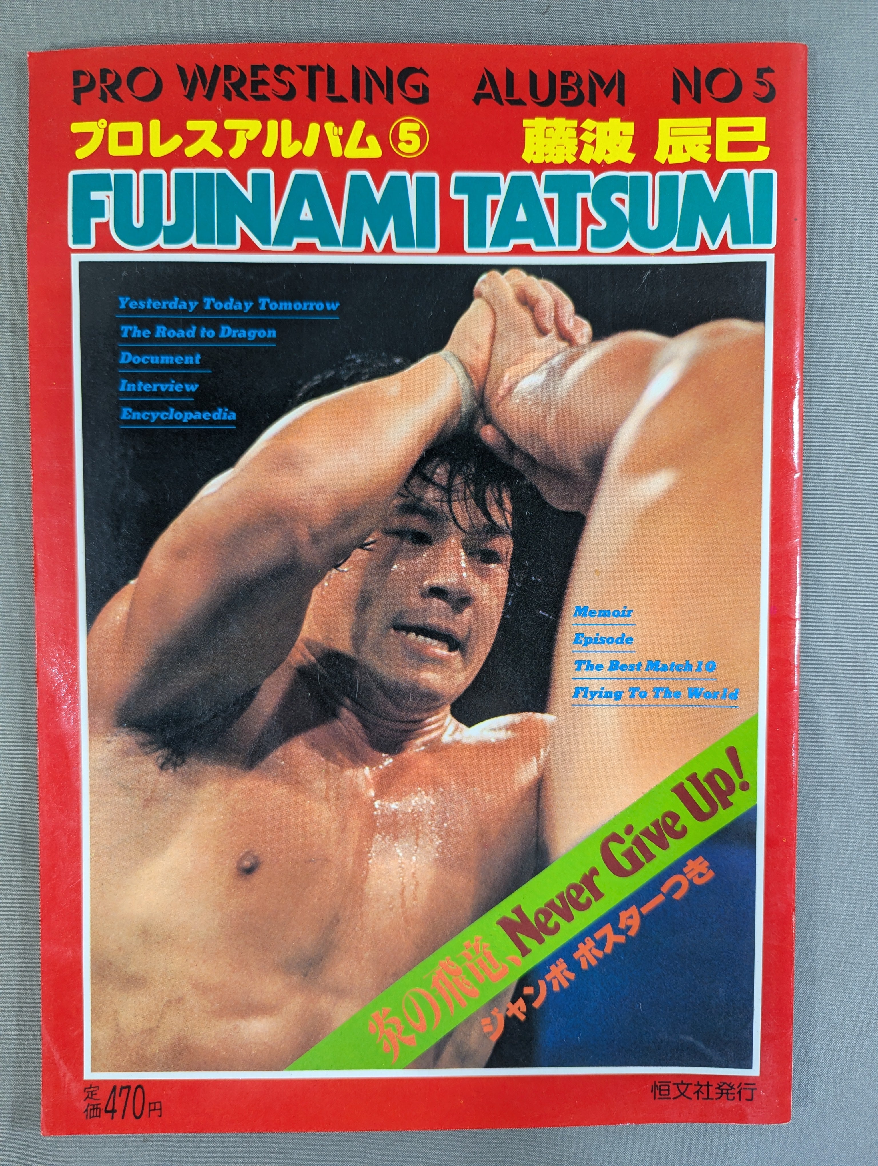 プロレスアルバム5 藤波辰巳 – 闘道館