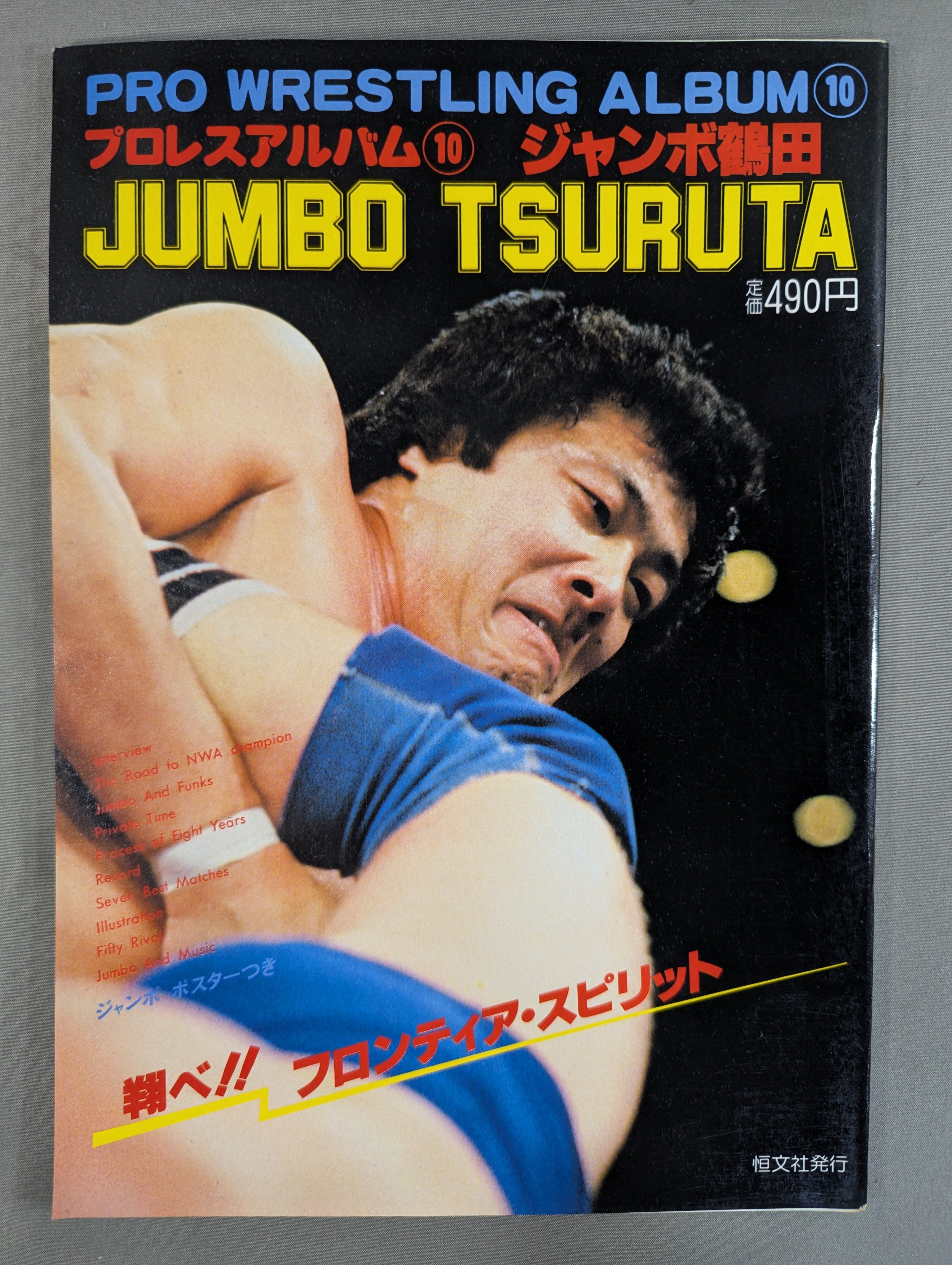 プロレスアルバム1980年ー1981年　no.1－no.14　美品フルコンポ プロレスアルバム10 ジャンボ鶴田 – 闘道館