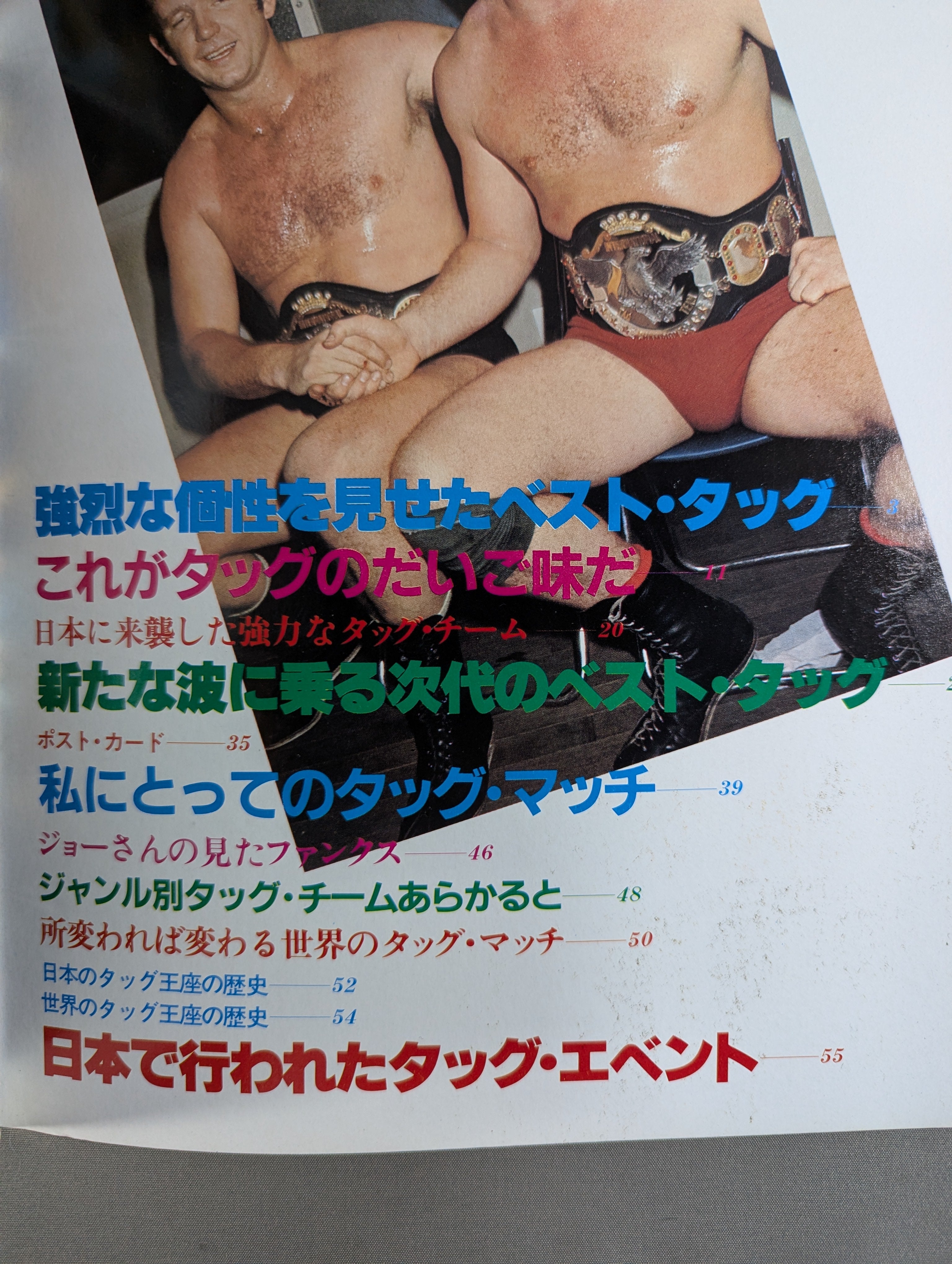 プロレスアルバム プロレスアルバム22 世界のベストタッグ – 闘道館