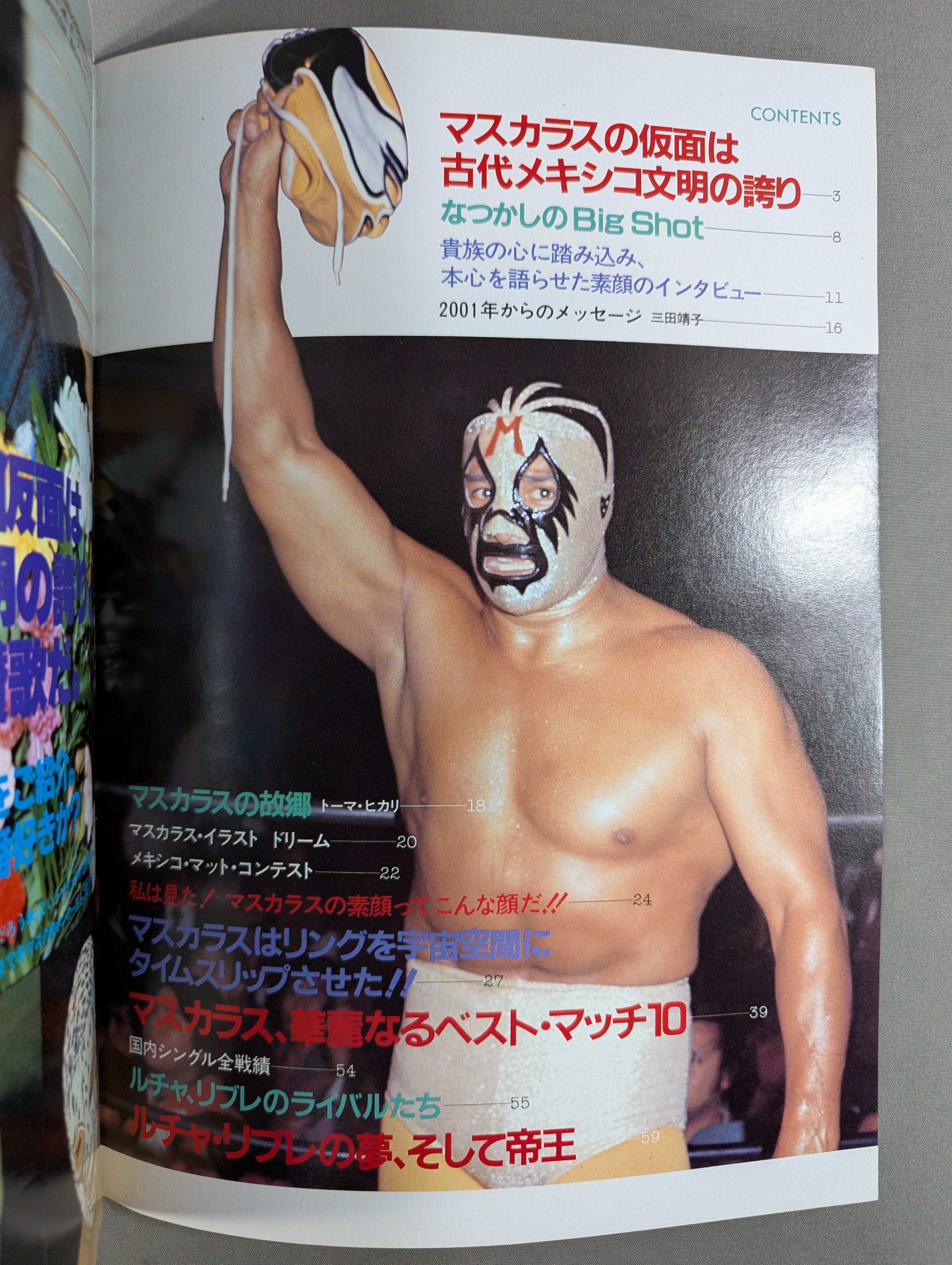 プロレスアルバム29 ミル・マスカラス ☆改訂版☆ – 闘道館