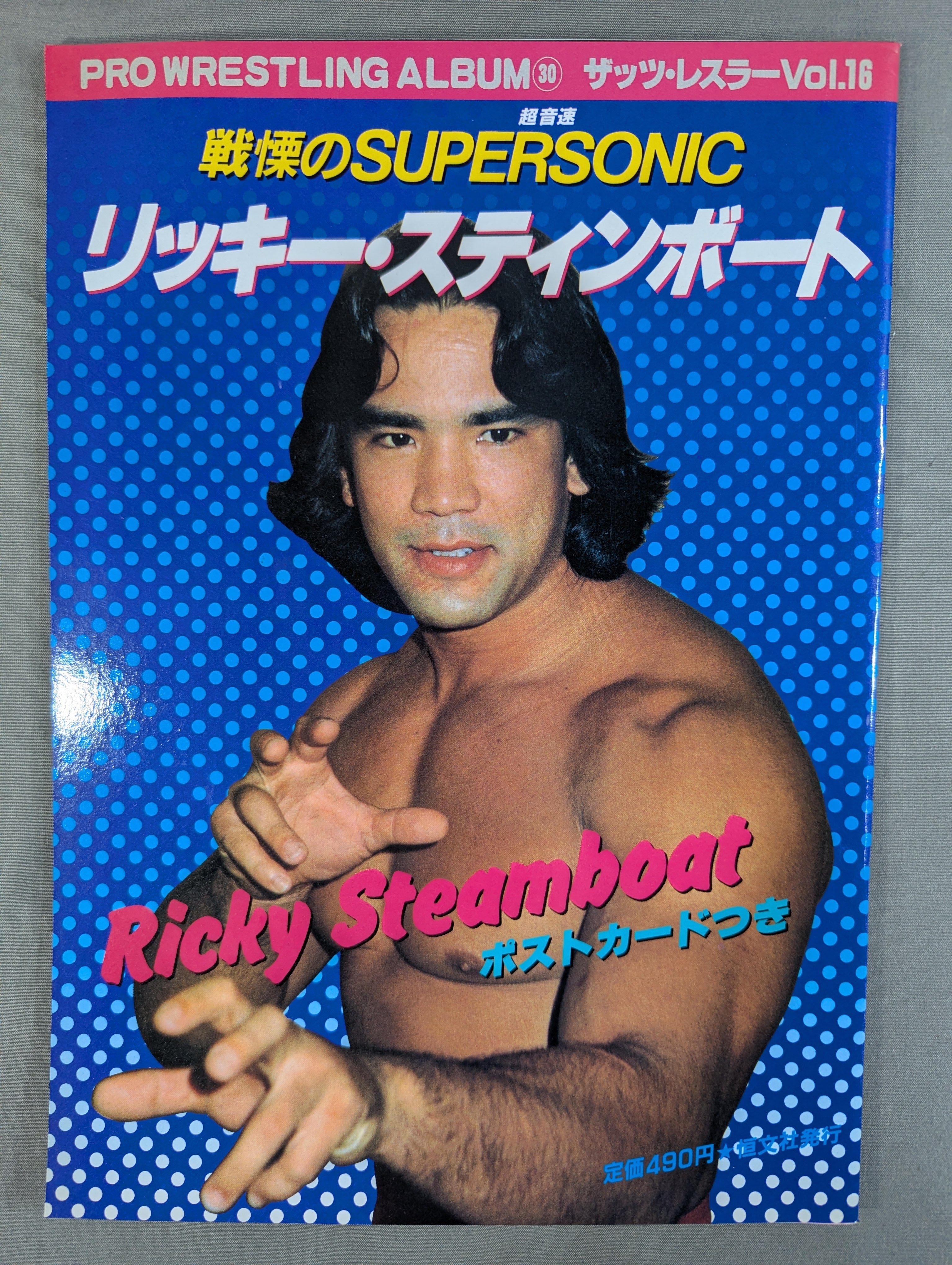 プロレスアルバム30 リッキー・スティンボート – 闘道館