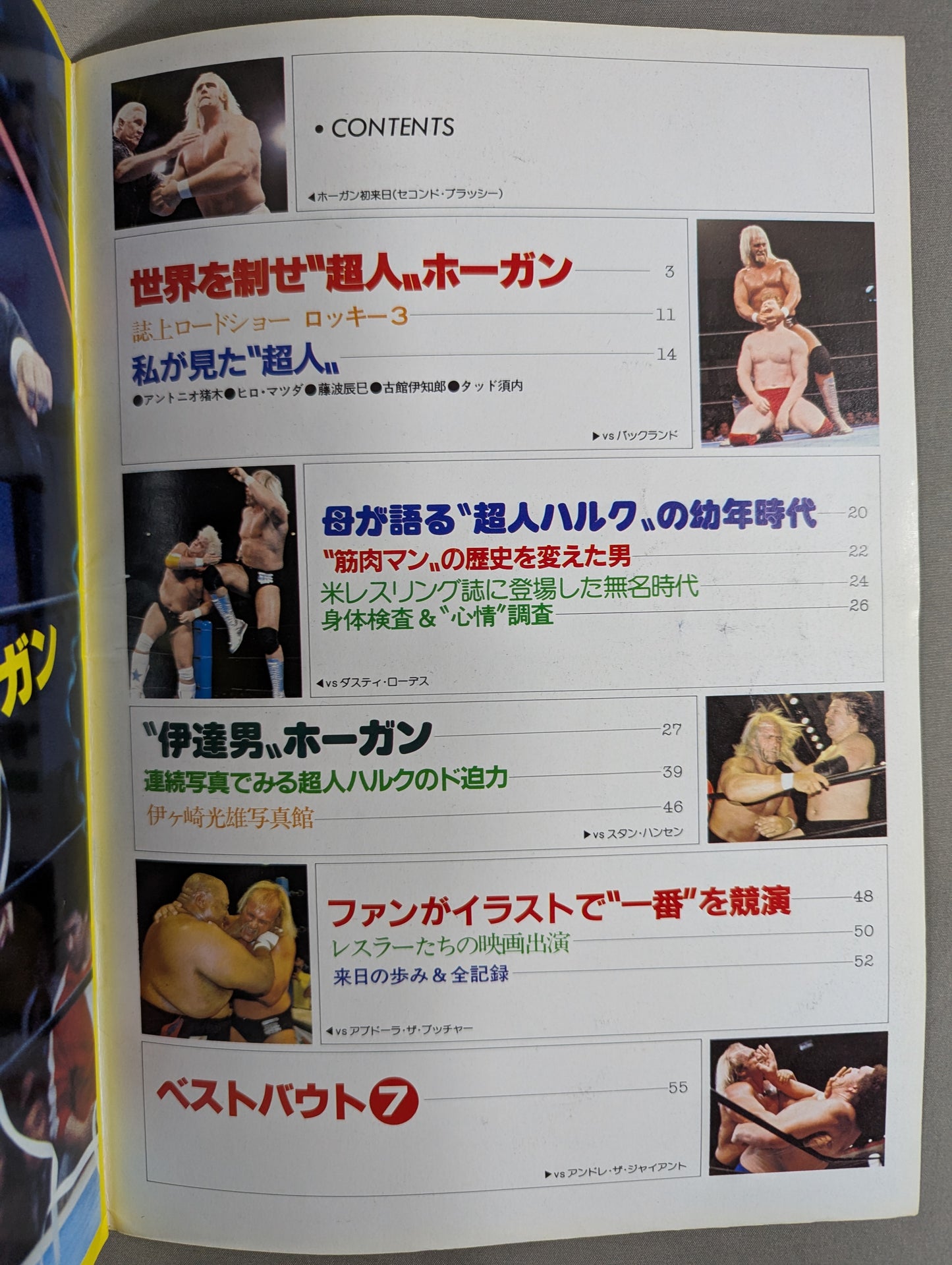 プロレスアルバム24 ハルク・ホーガン