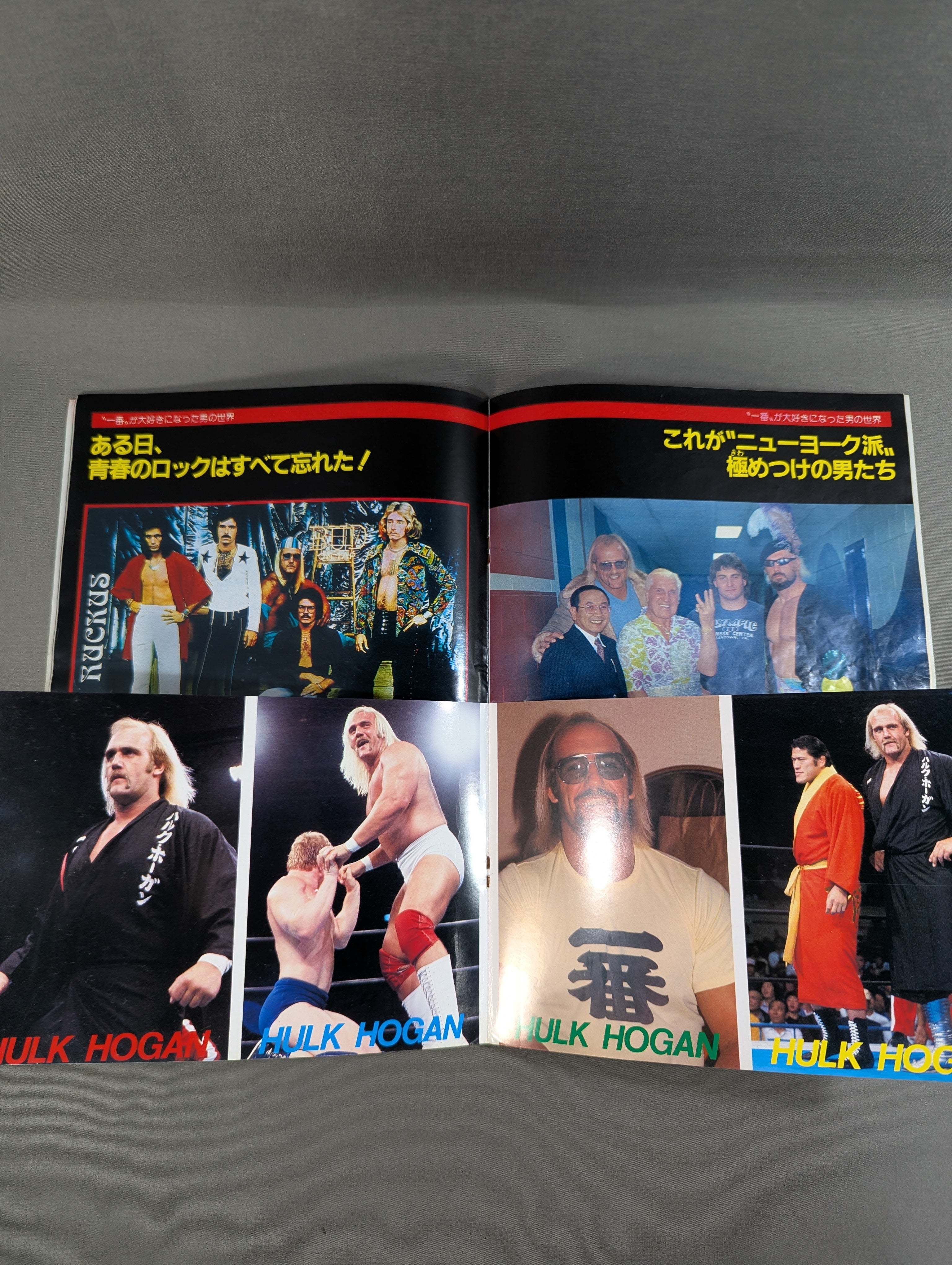 プロレスアルバム24 ハルク・ホーガン – 闘道館
