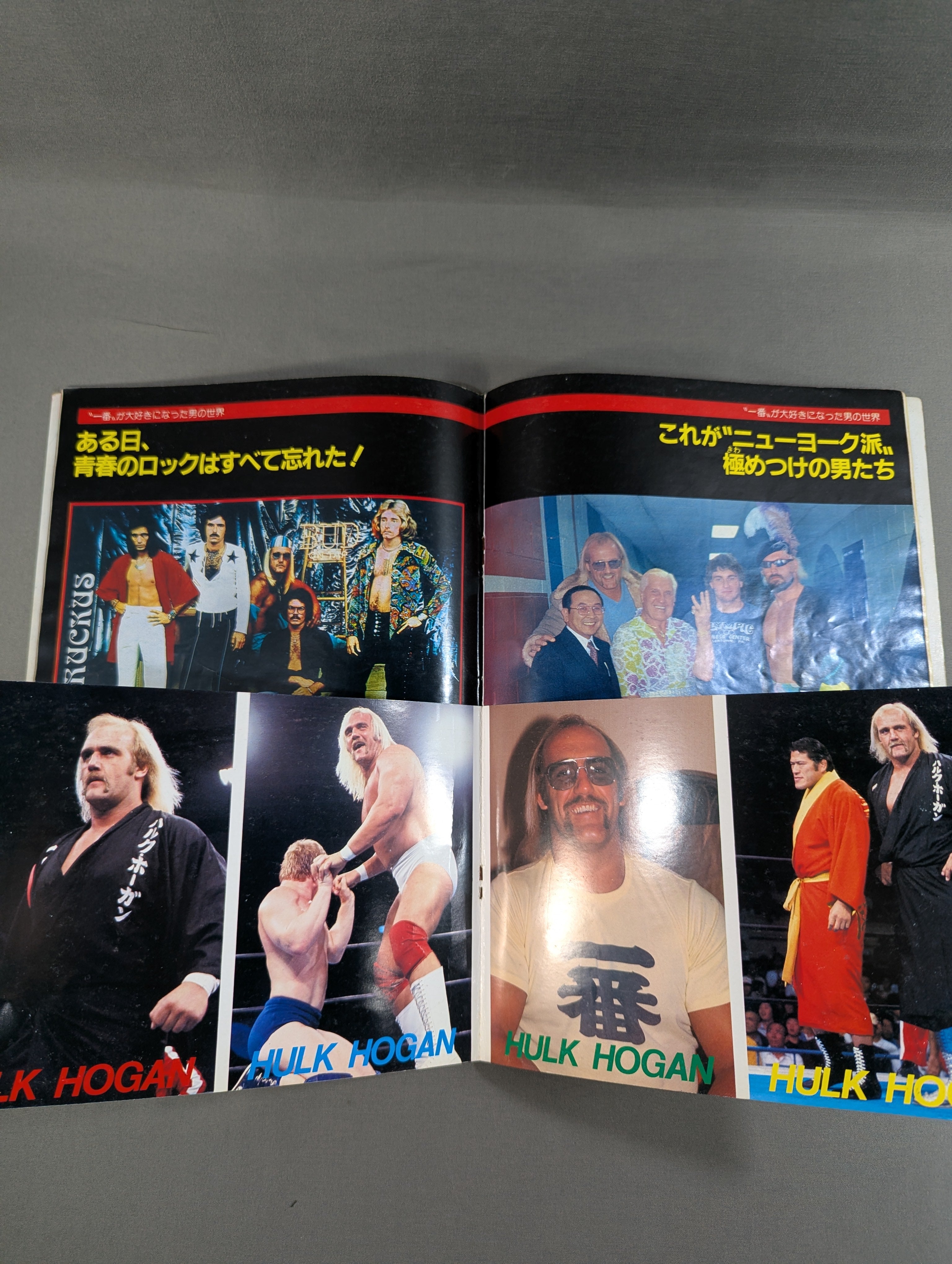 プロレスアルバム24 ハルク・ホーガン – 闘道館