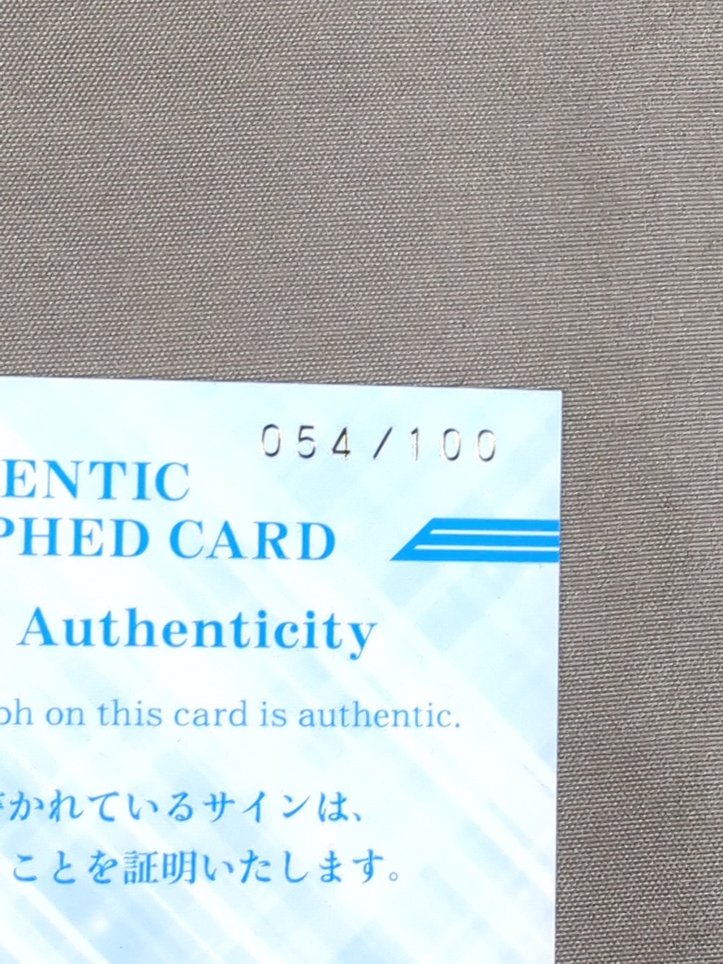 2020 BBM チェリー 公式サインカード – 闘道館