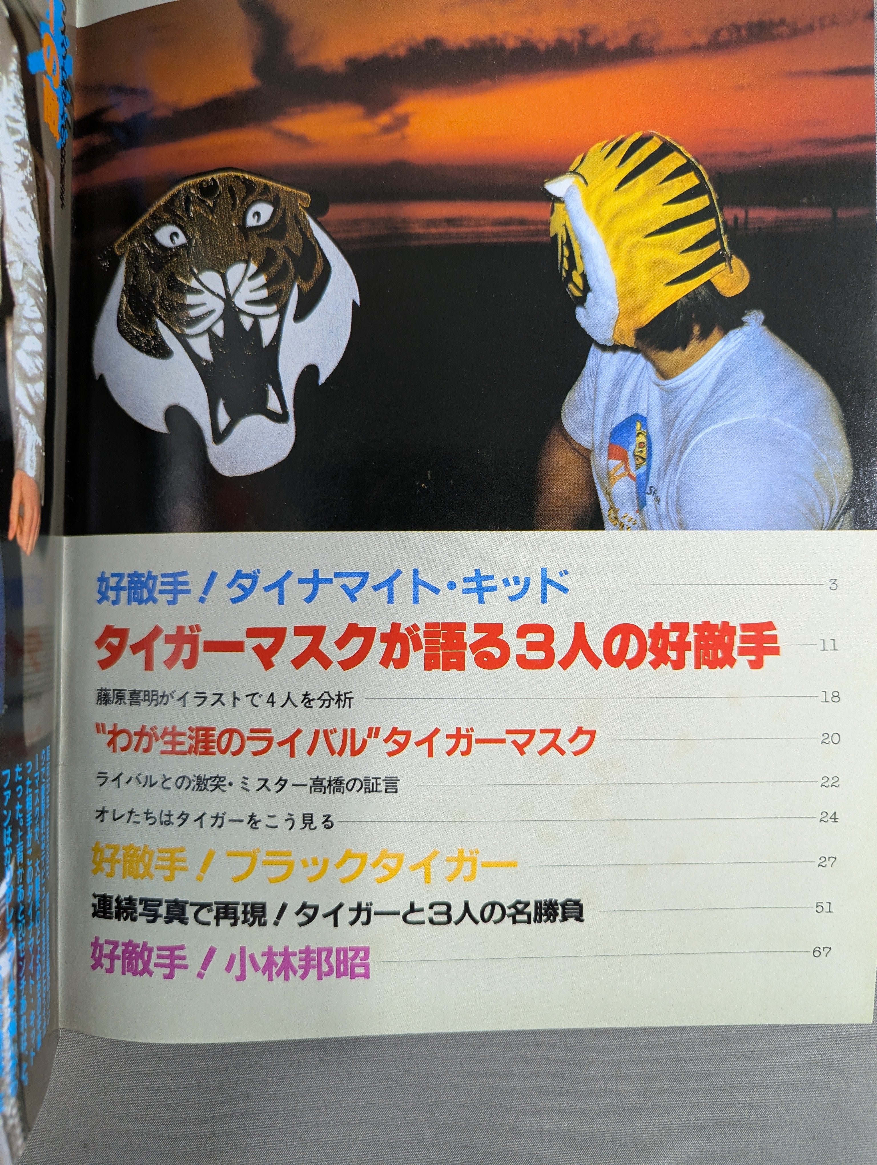 プロレスアルバム31 タイガーマスクと3人の好敵手 – 闘道館
