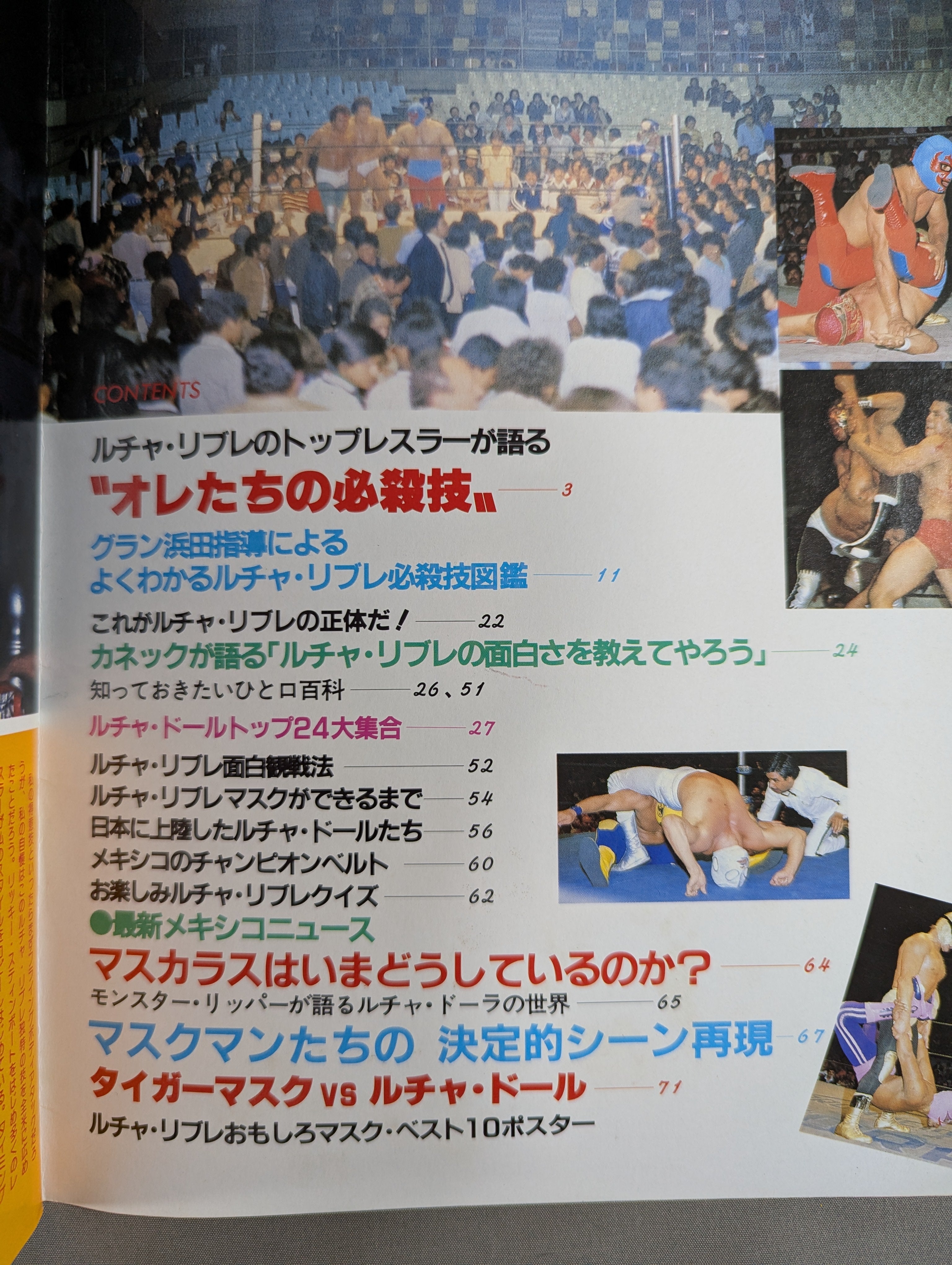 プロレスアルバム33 ルチャ・リブレ – 闘道館