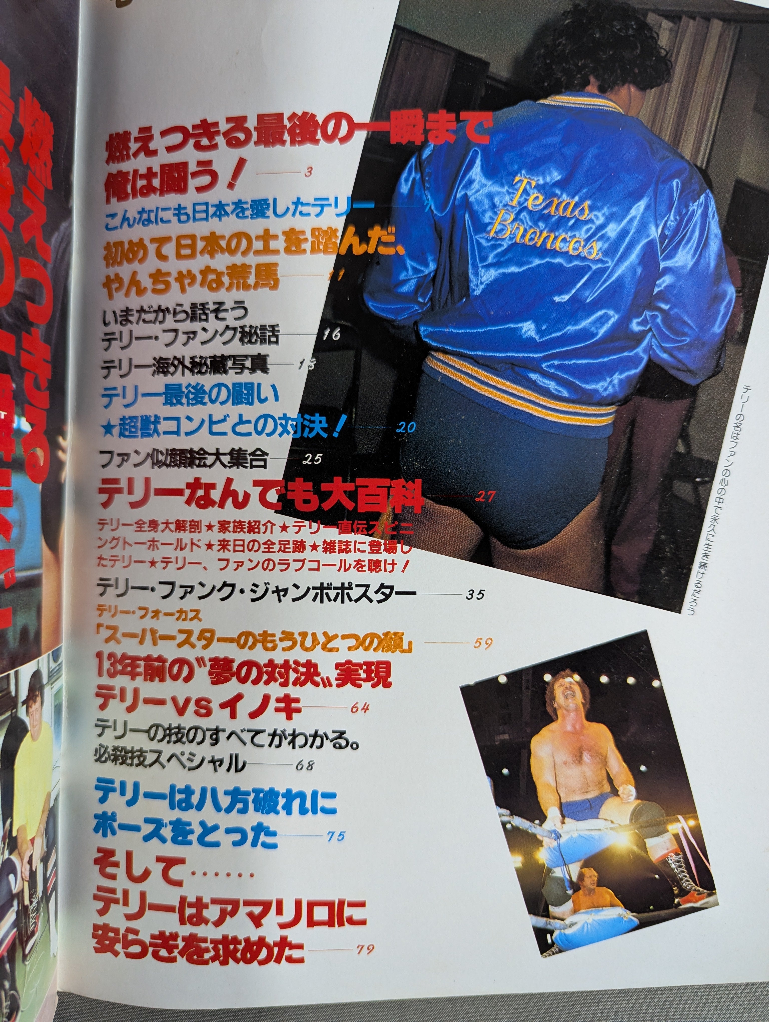 プロレスアルバム36 さよならテリー・ファンク – 闘道館