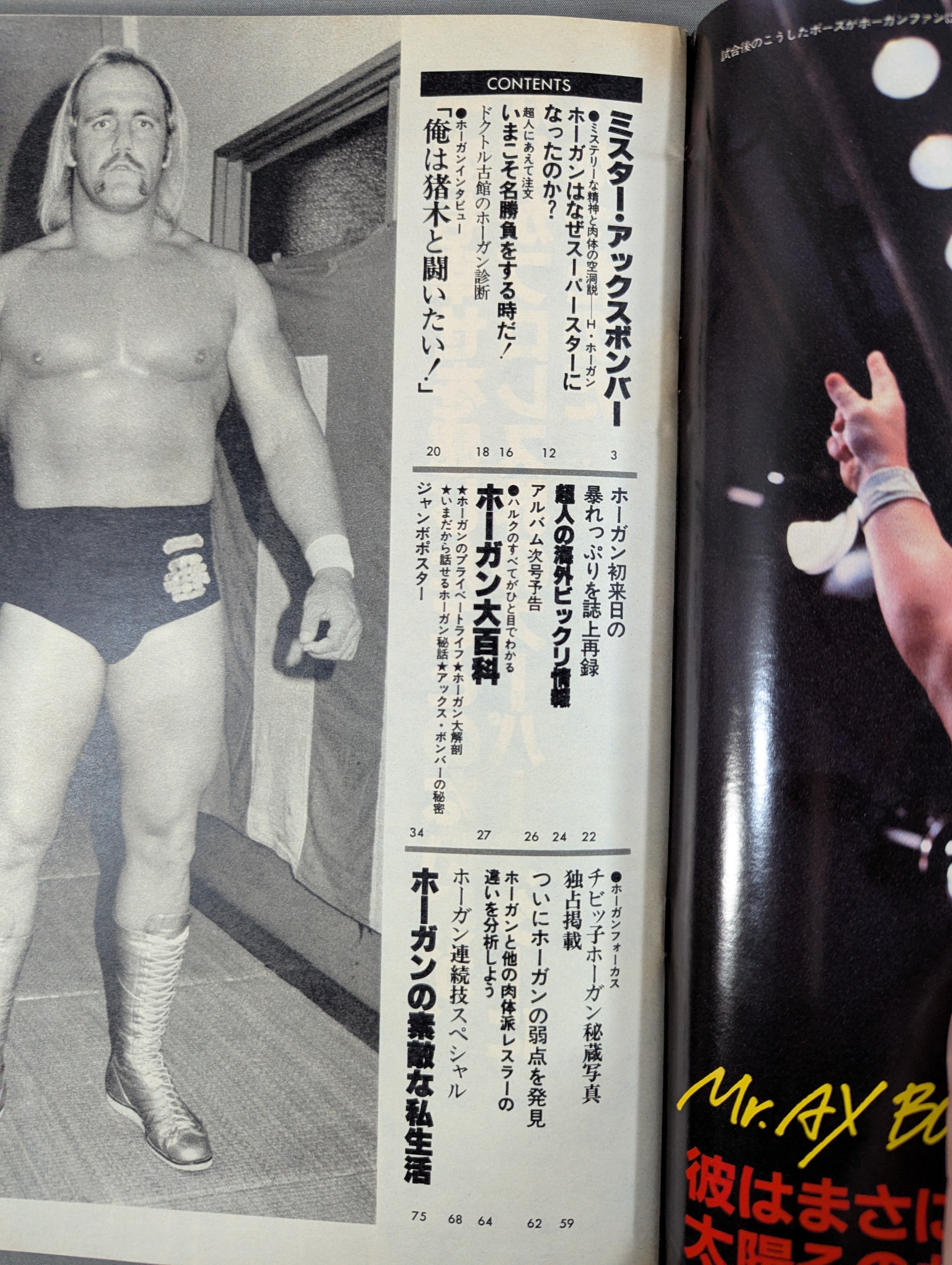 プロレスアルバム40 一番ハルク・ホーガン – 闘道館