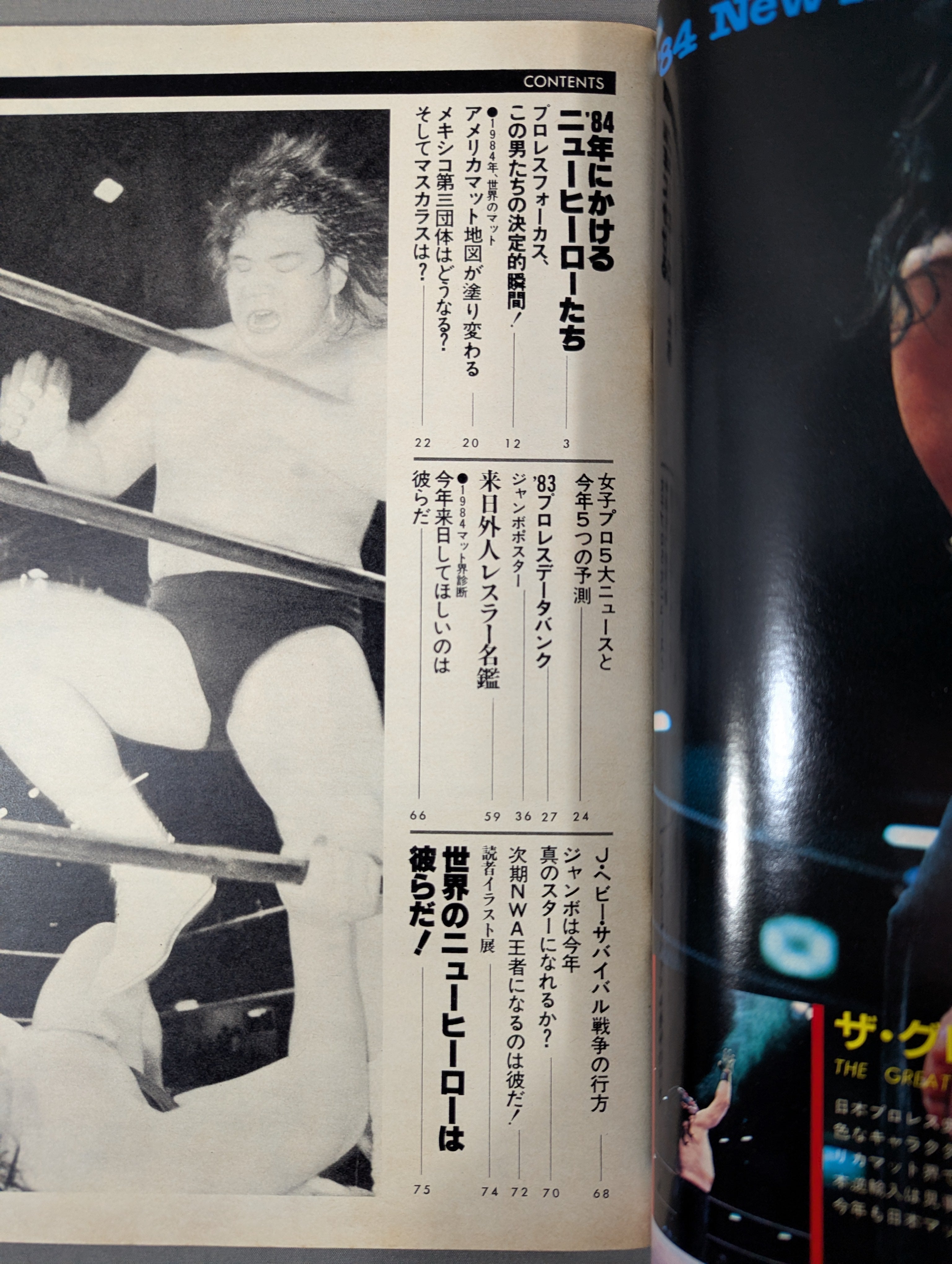 プロレスアルバム1980年ー1981年　no.1－no.14　美品フルコンポ プロレスアルバム41 プロレスイヤーズ・ブック 1984 – 闘道館