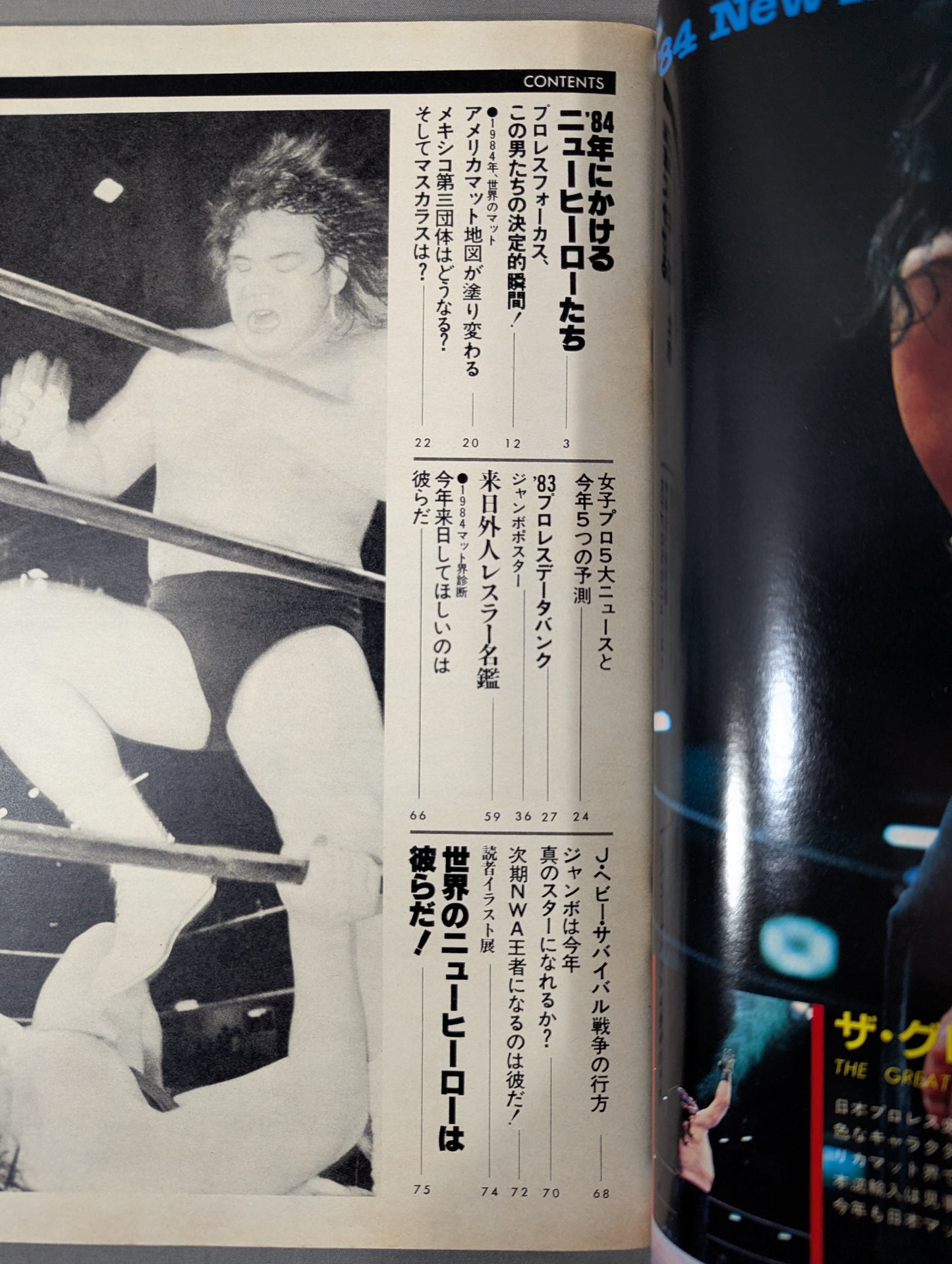 Pro Wrestling  Album 41 Pro Wrestling Year's Book 1984