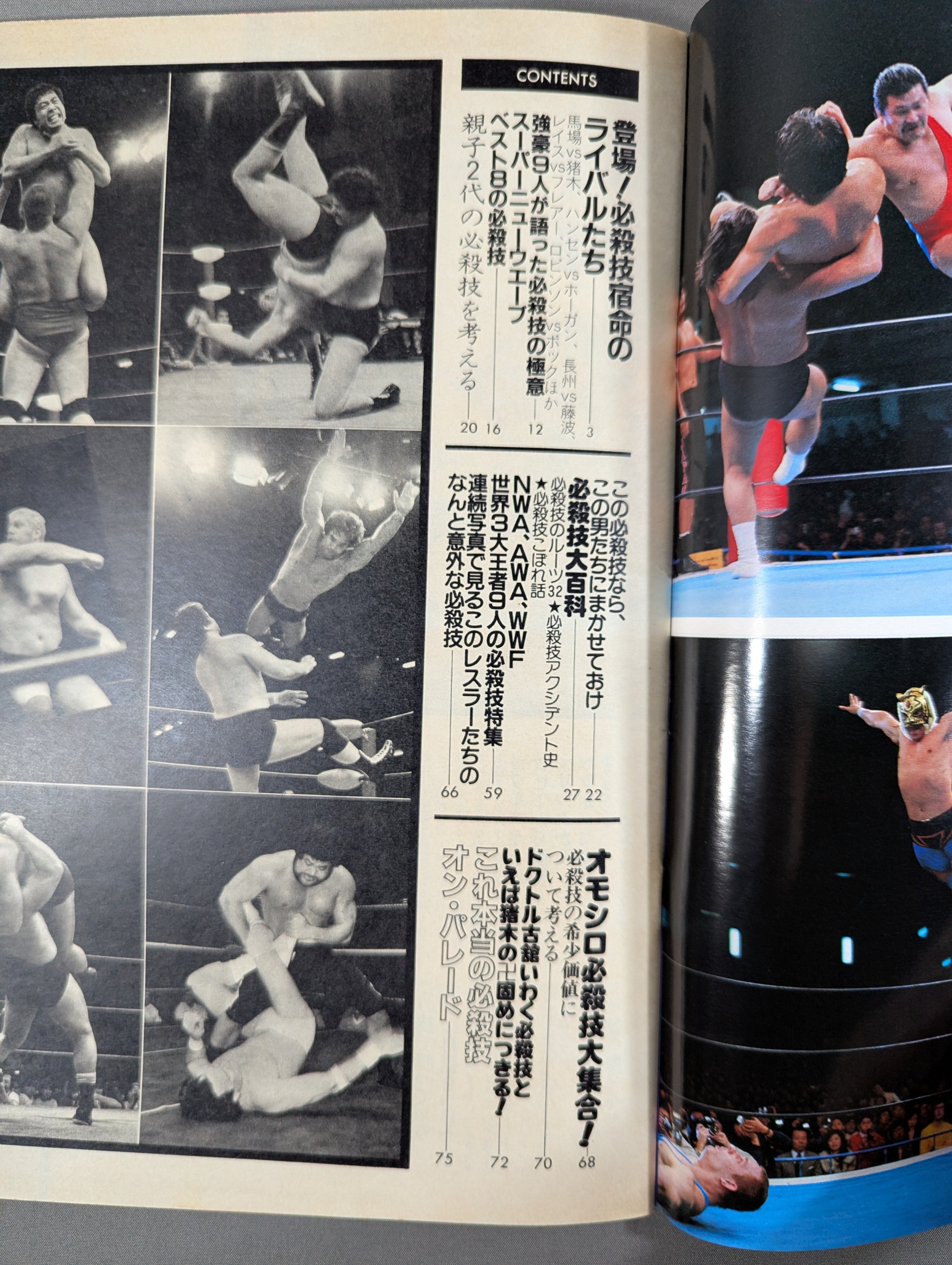 パネル プロレス VFC 格闘技 インテリア スポーツ 雑貨 アート 選手 ビッグサイズ 240118-119 プロレスアルバム45 必殺技大集合 – 闘道館