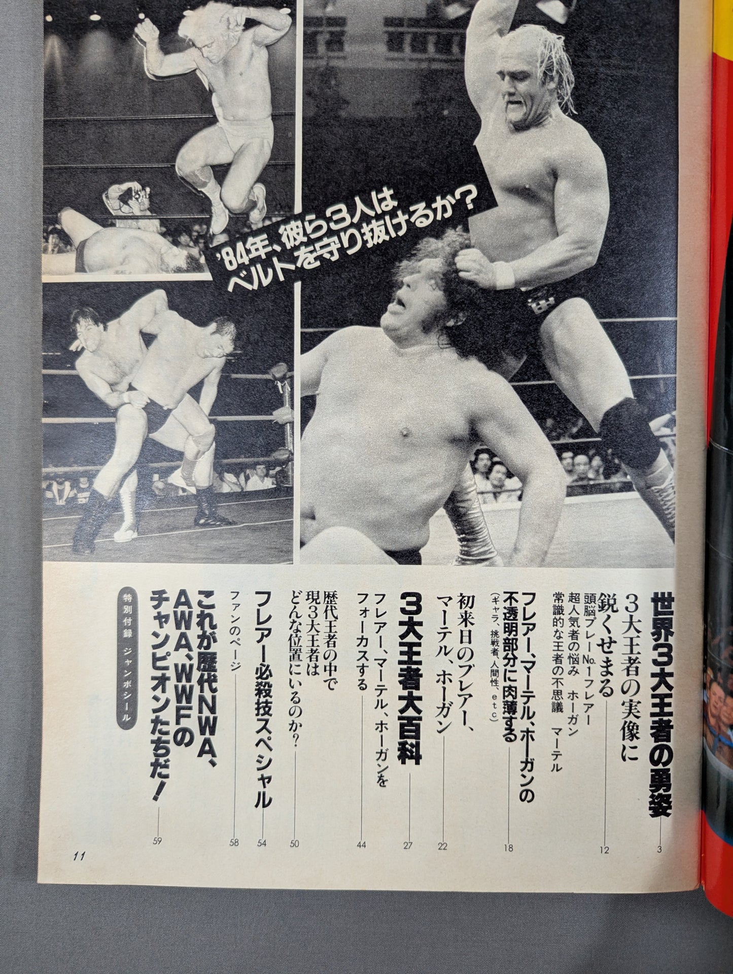 プロレスアルバム47 チャンピオンズ